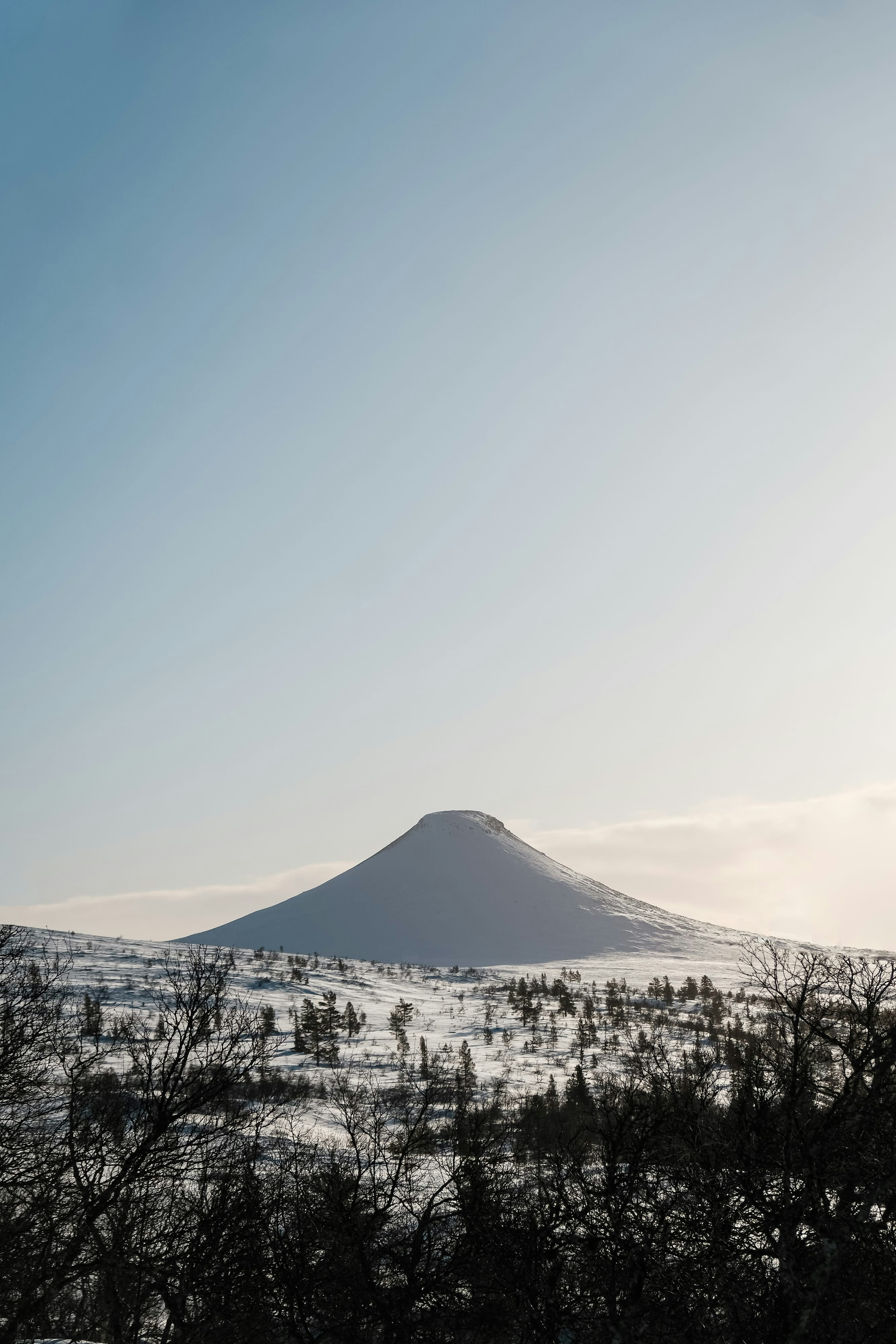 Photo by niklasjesper