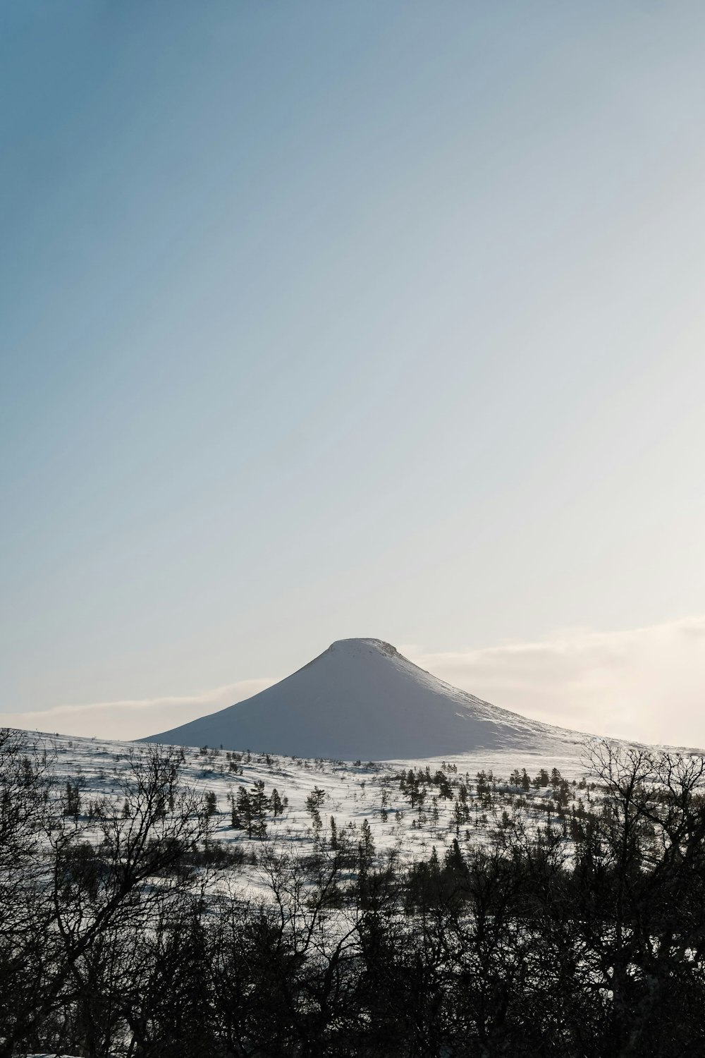 a snow covered mountain with trees in the foreground