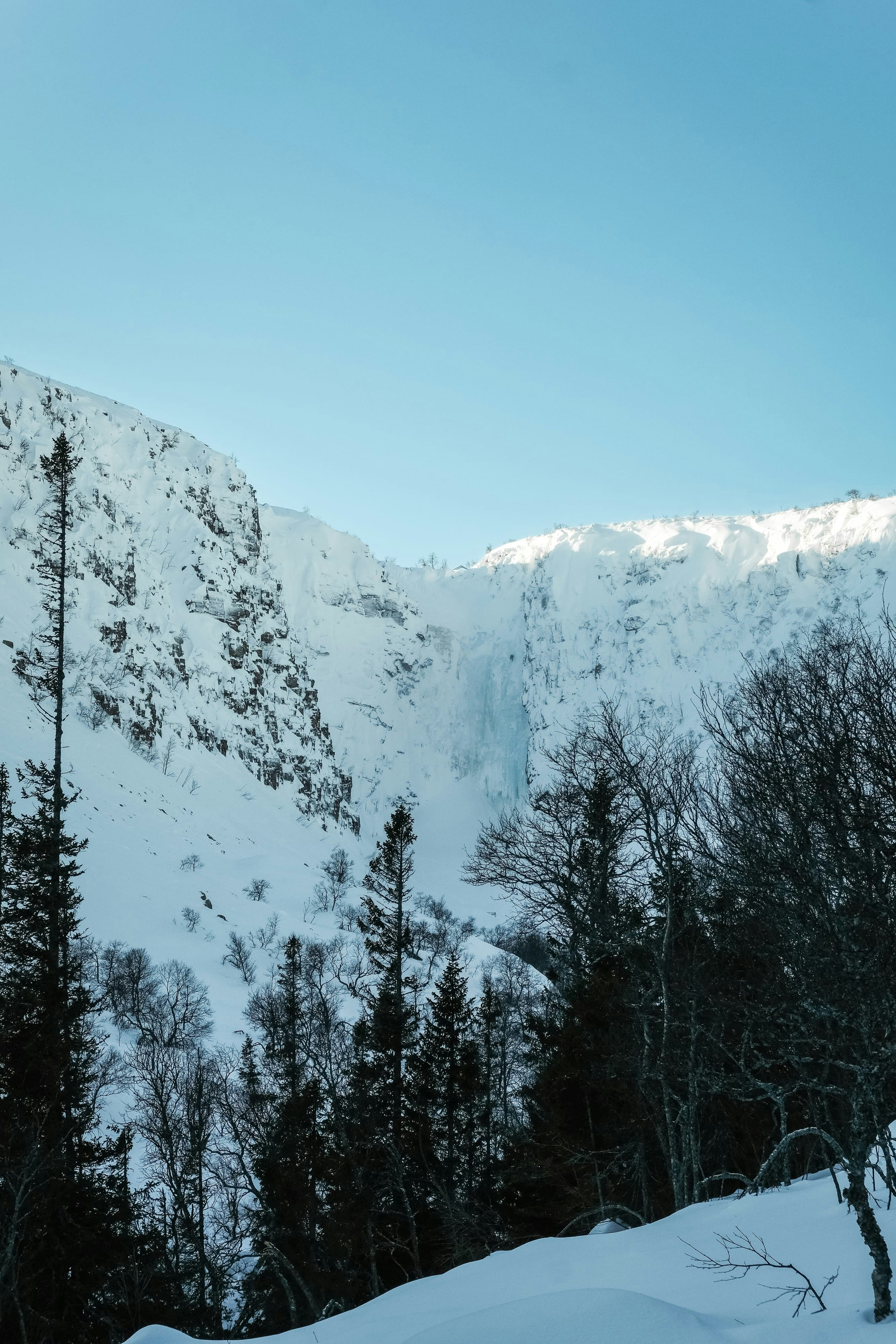 Photo by niklasjesper