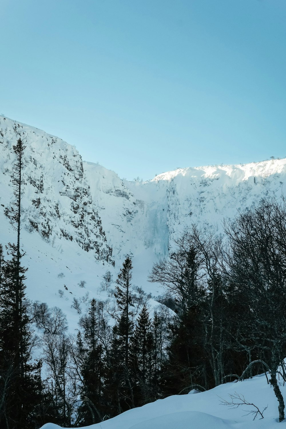 a snow covered mountain with trees in the foreground