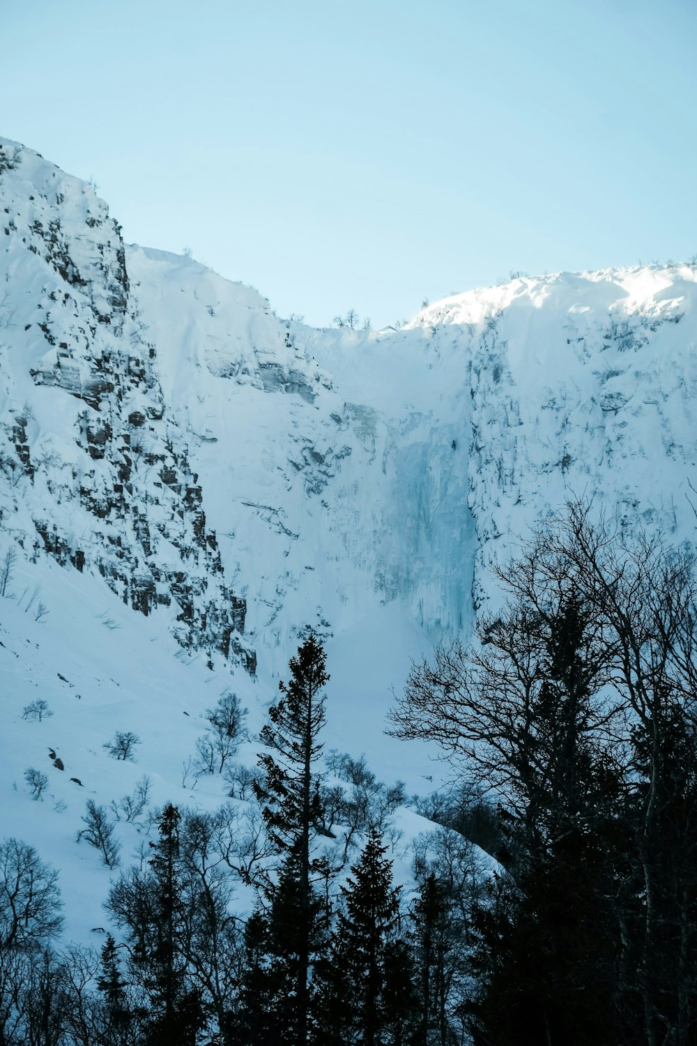 a snow covered mountain with trees in the foreground