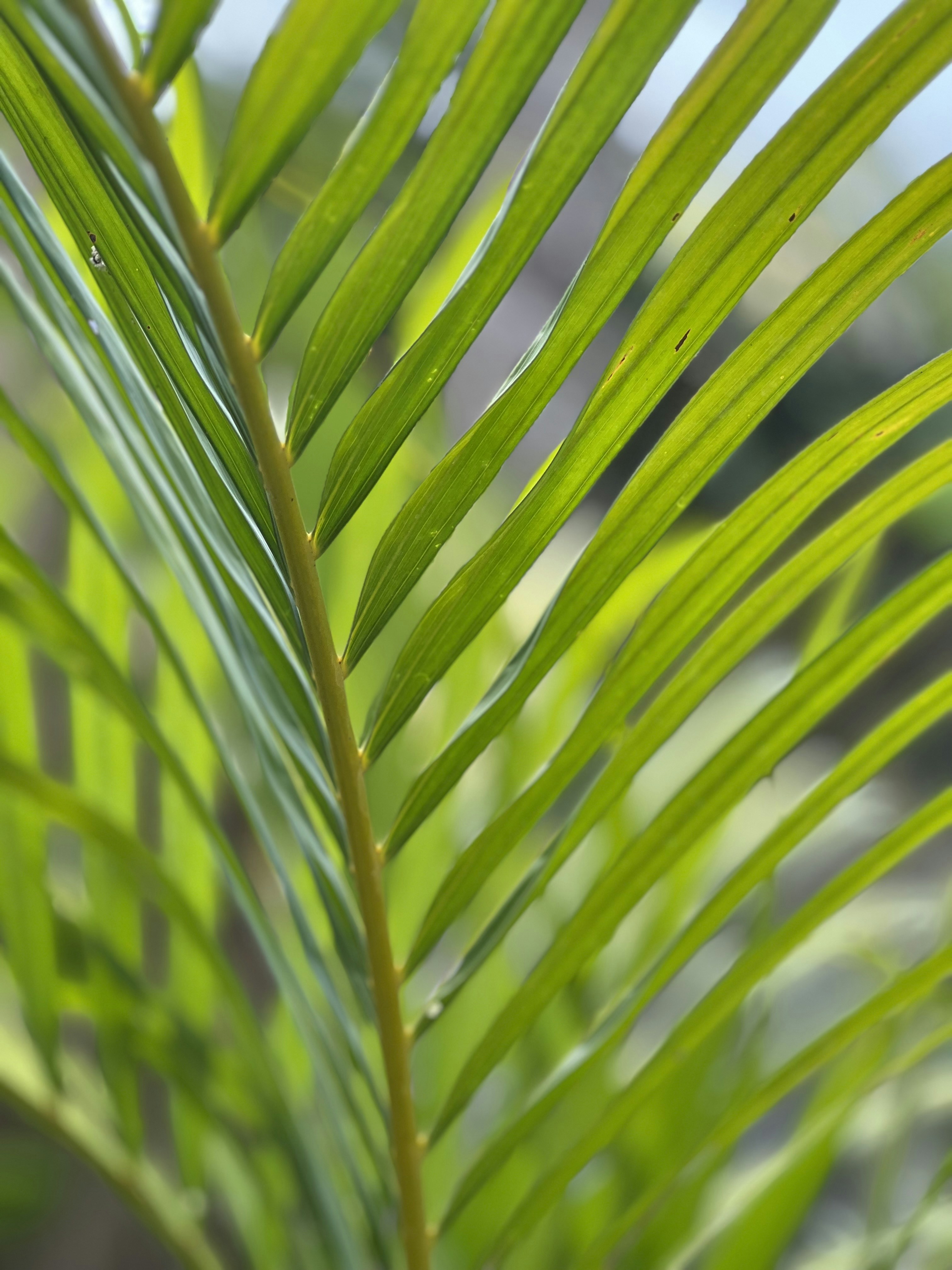 Photo by hakunamatita