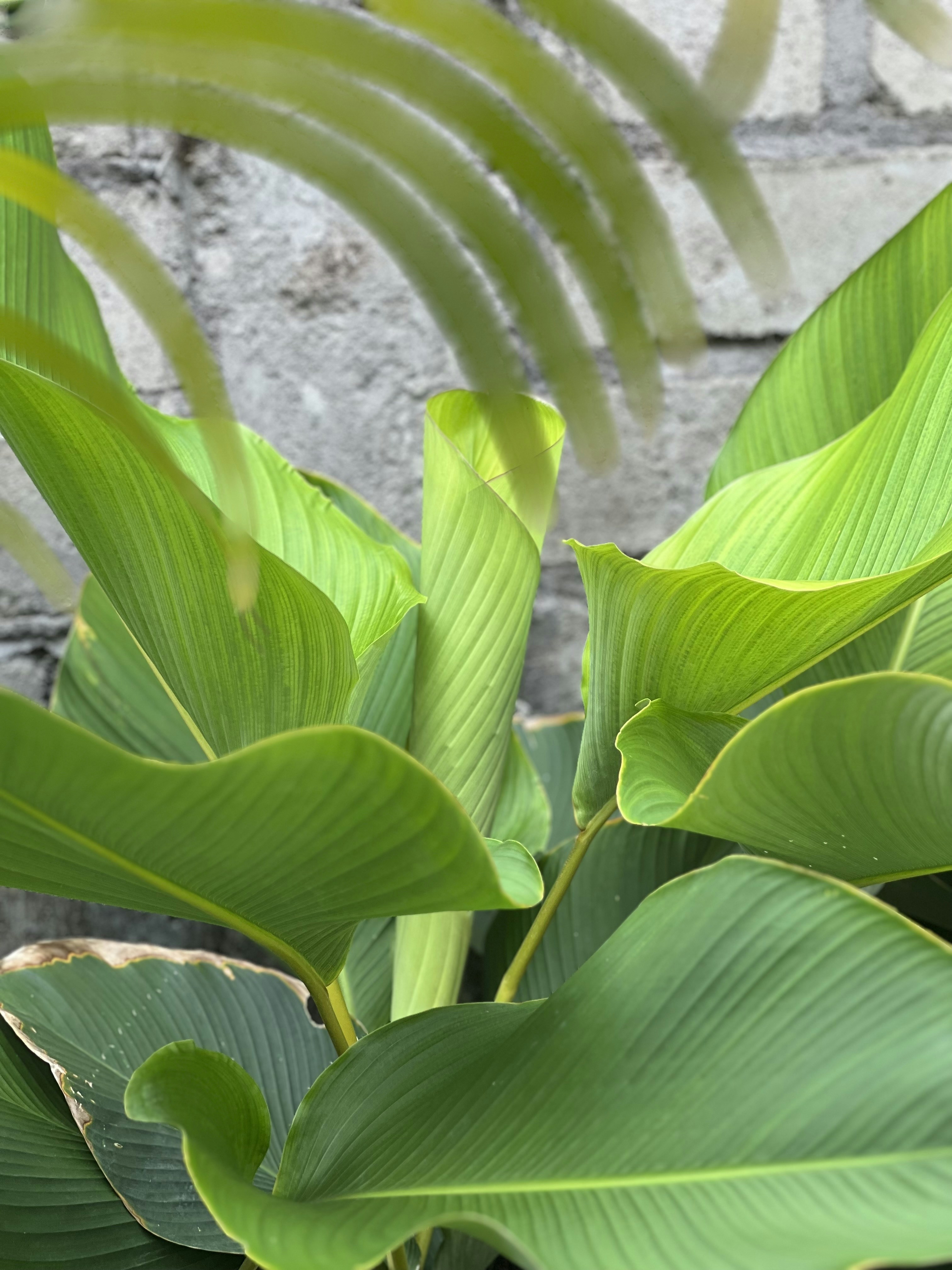 Photo by hakunamatita