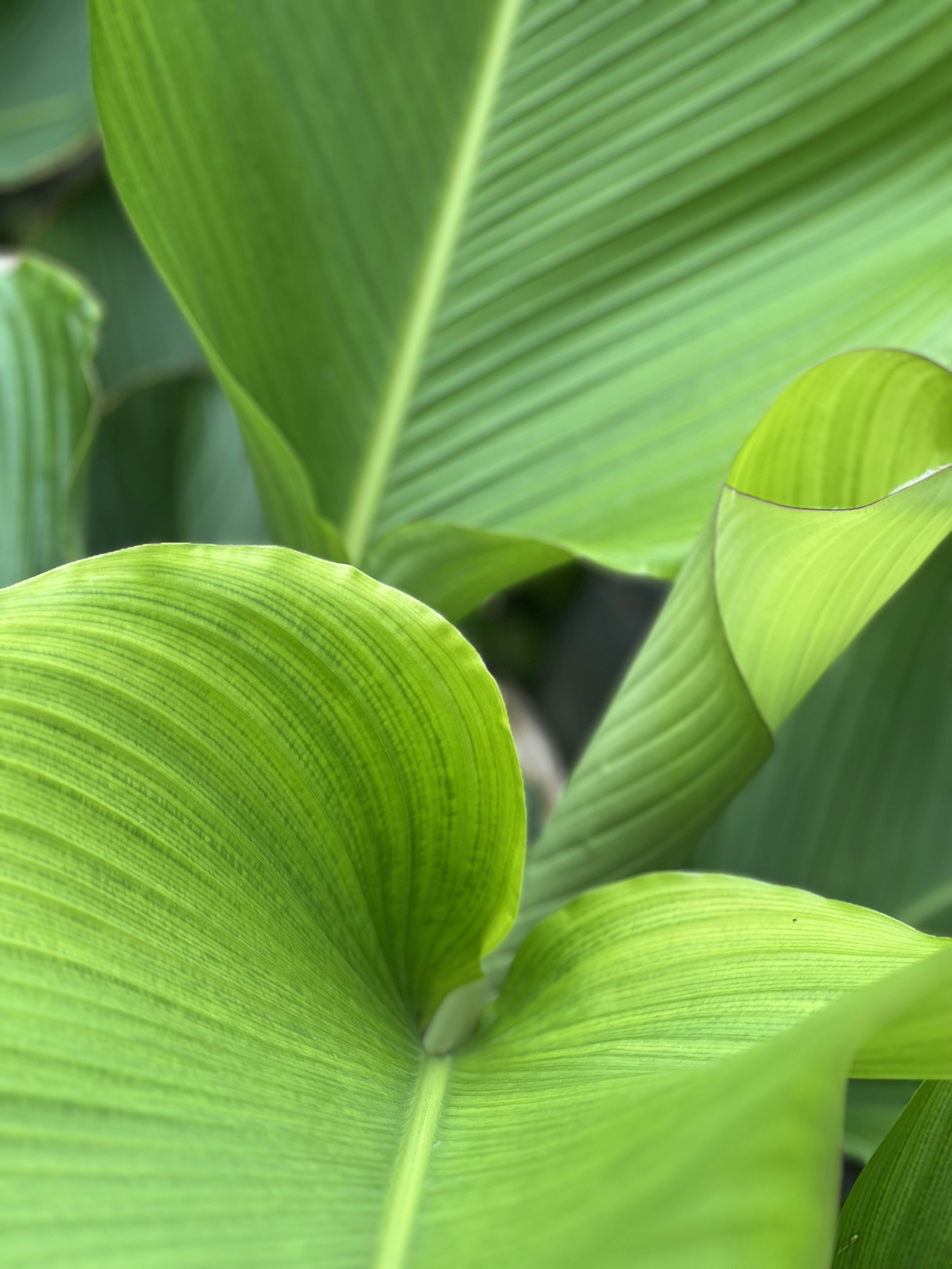 Photo by hakunamatita