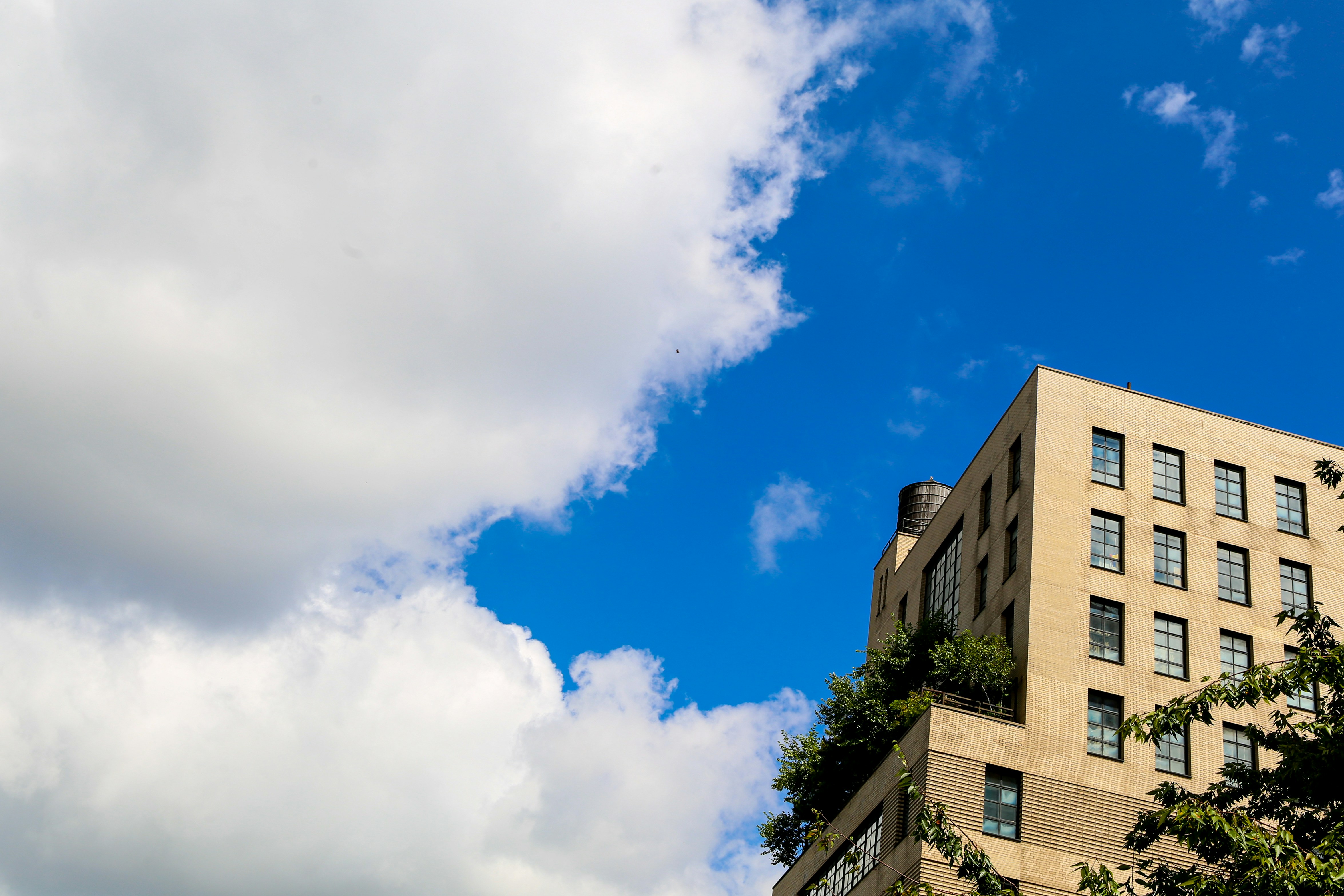 Photo by angelokarabo053