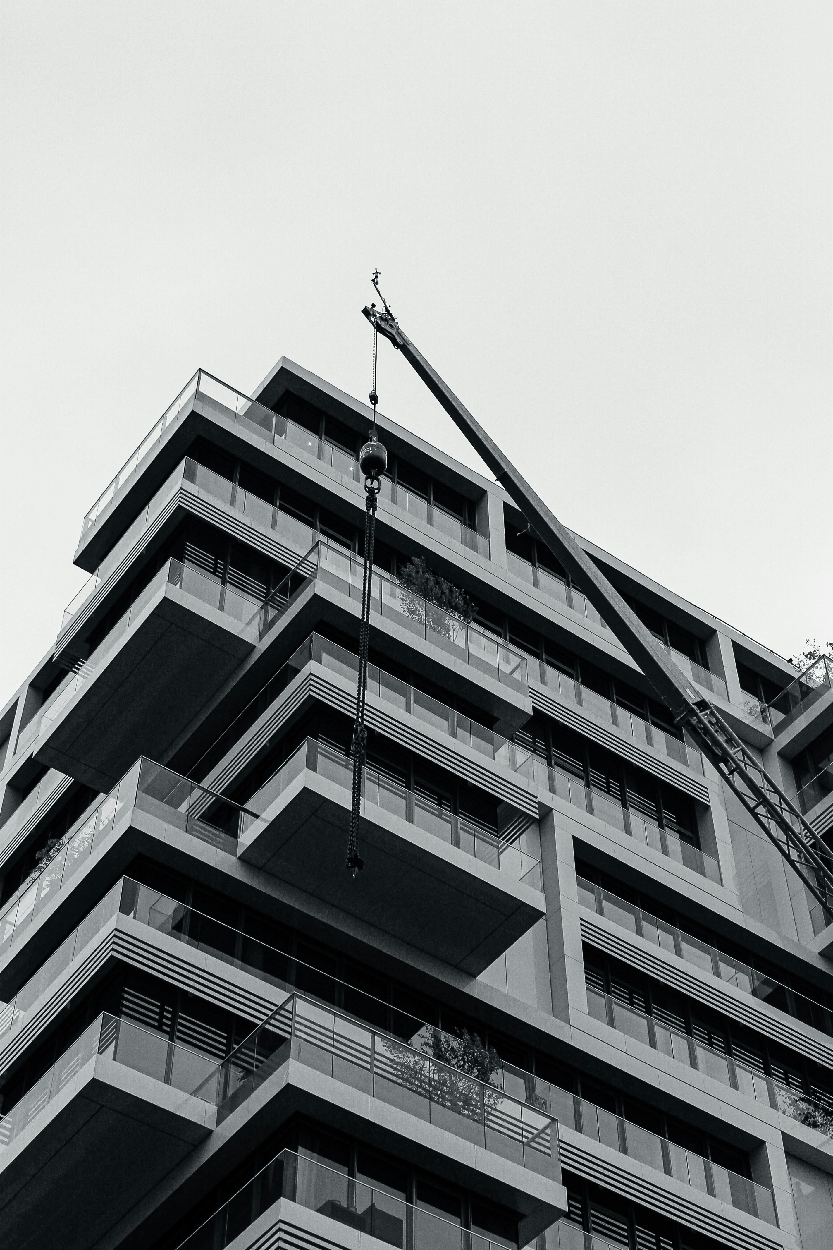 Photo by nasrallah_reham