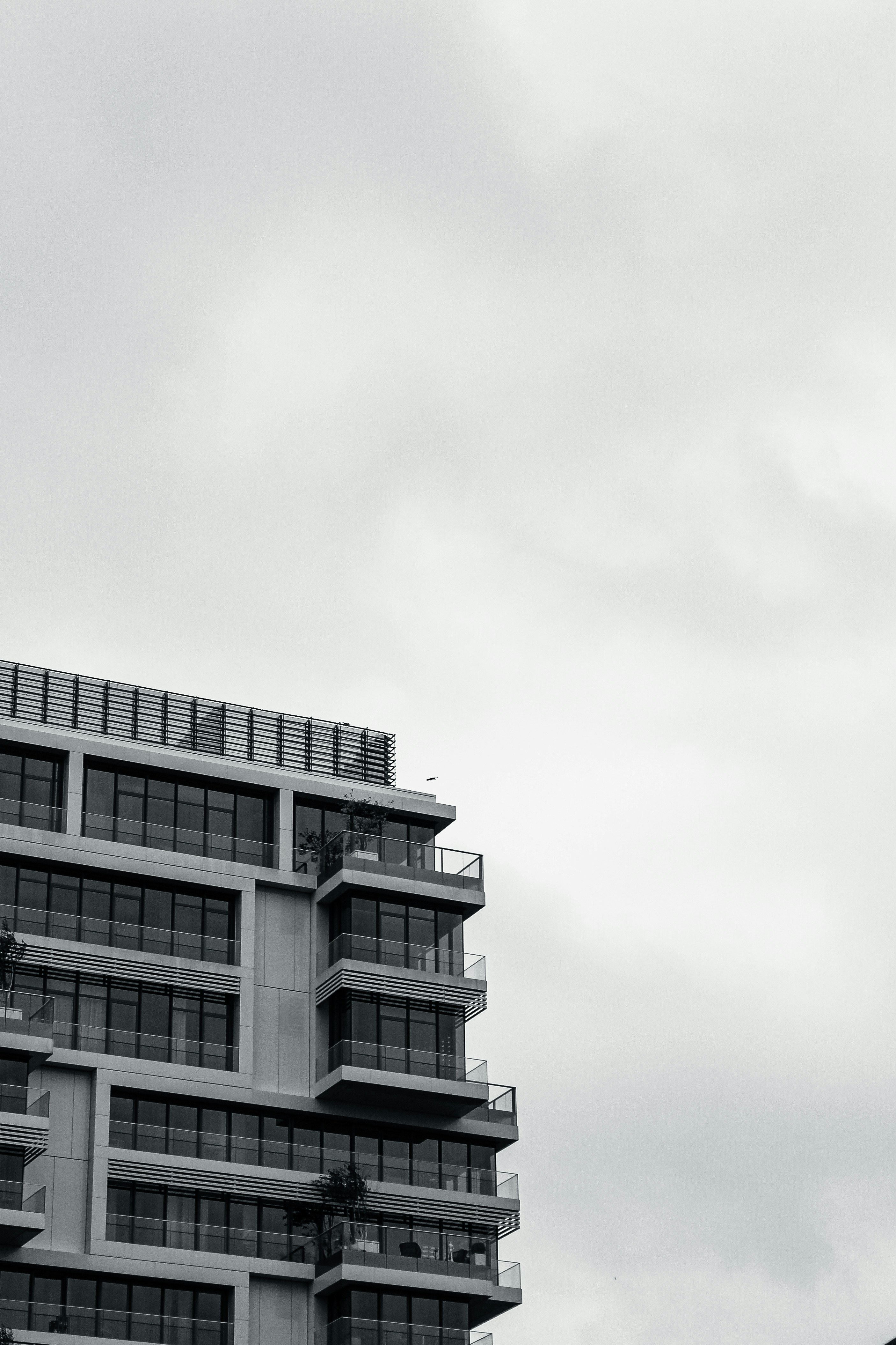 Photo by nasrallah_reham