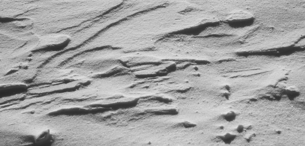 Ein Schwarz-Weiß-Foto von etwas Sand