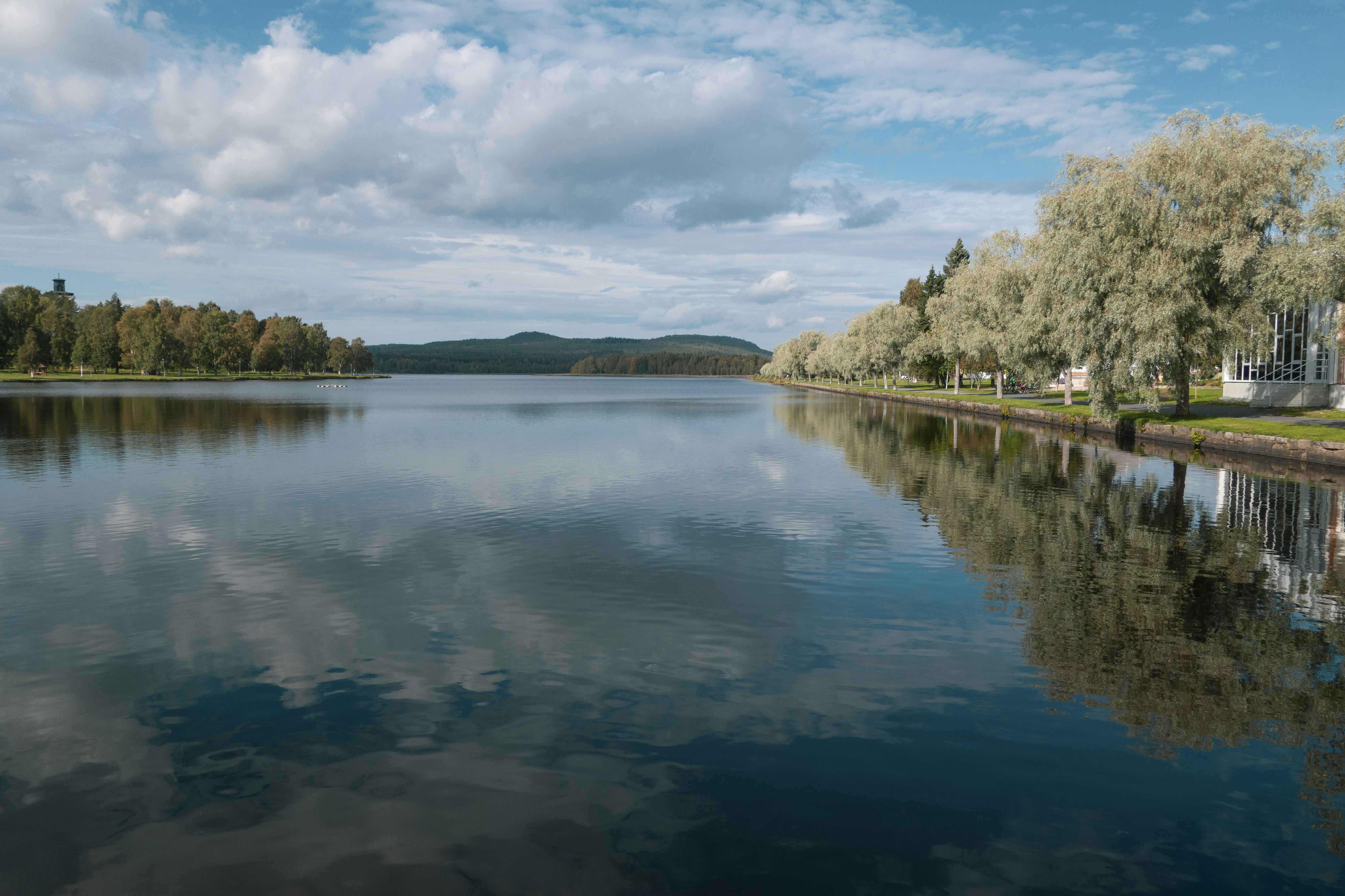 a large body of water surrounded by trees