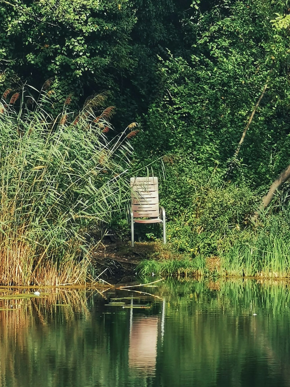 a chair sitting on the shore of a lake