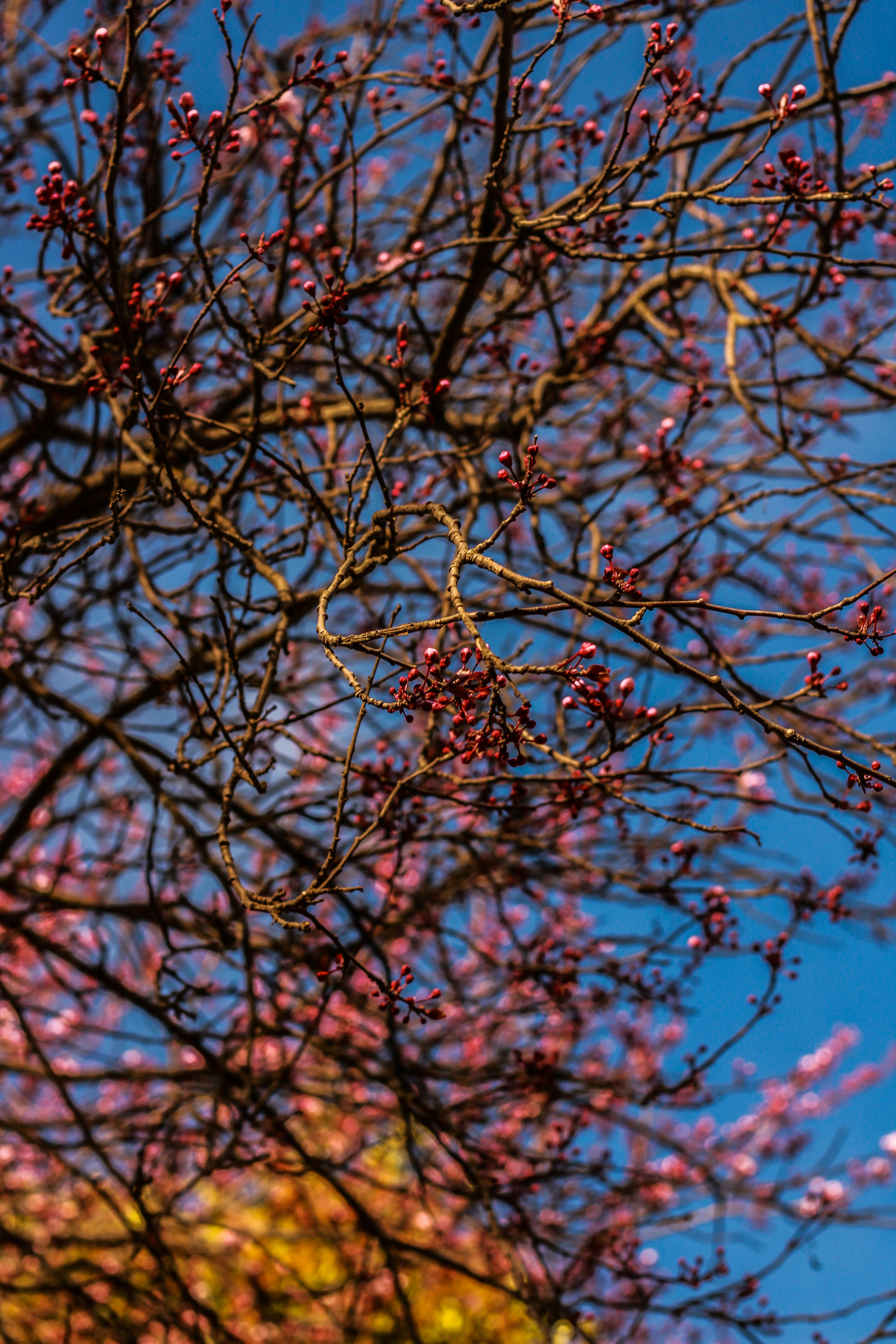 Photo by gerardgraau