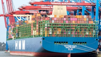 a large cargo ship is loaded with containers