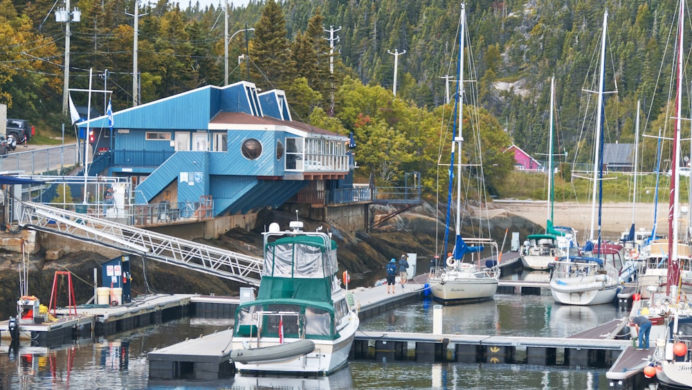 a dock with several boats docked at it