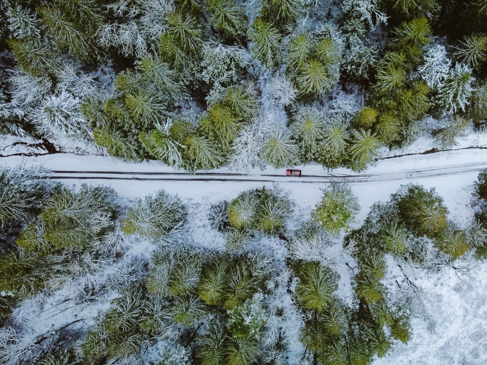 an aerial view of a road surrounded by trees