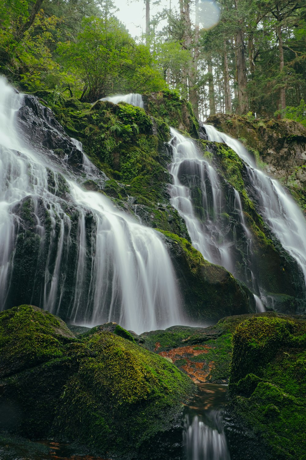 a waterfall in the middle of a forest