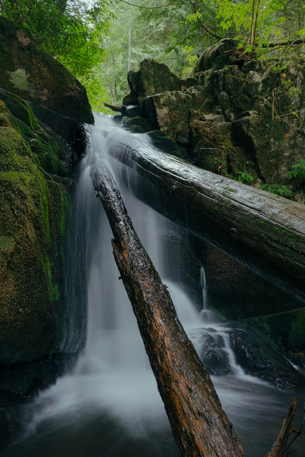 a small waterfall in the middle of a forest