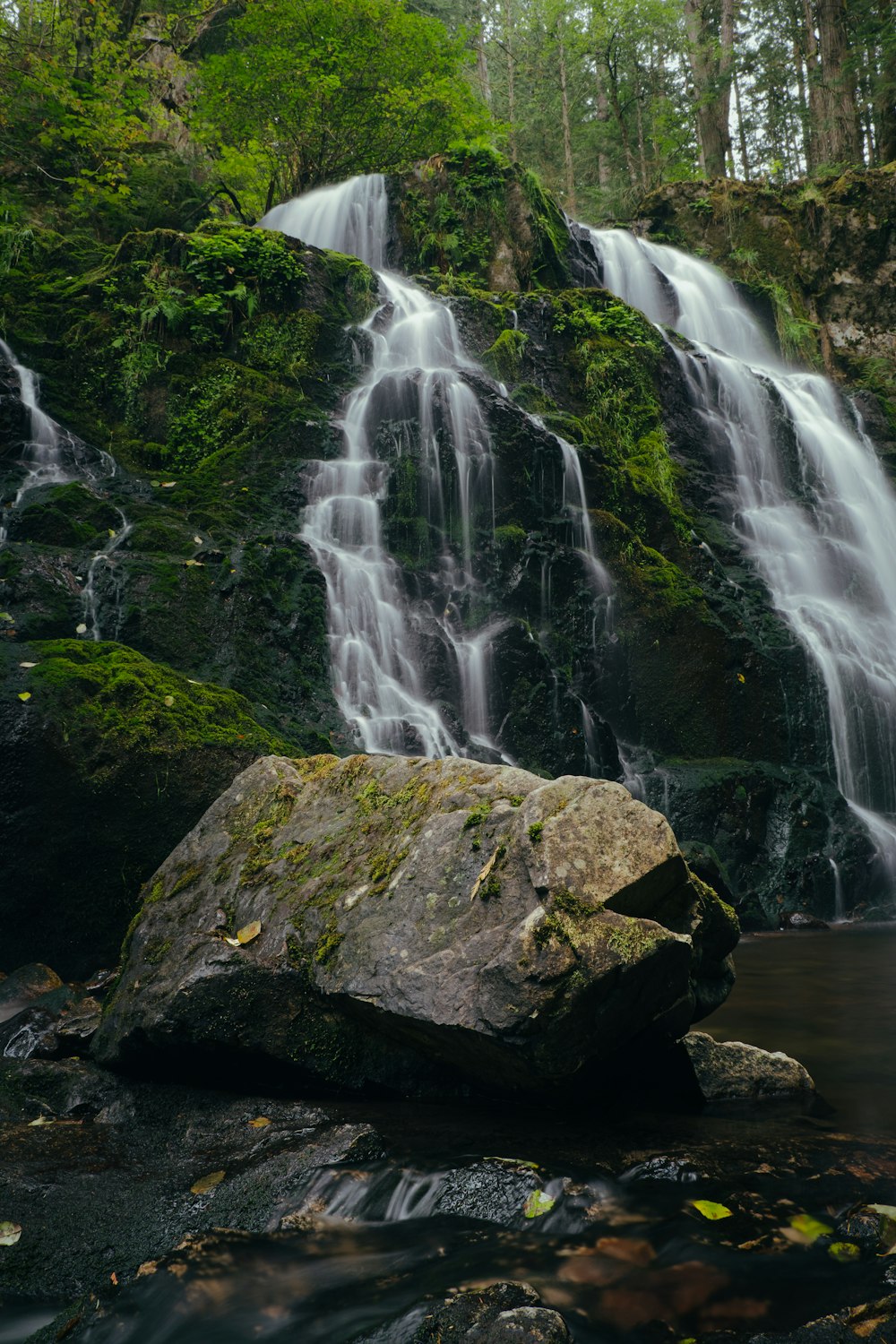 una grande cascata in mezzo a una foresta