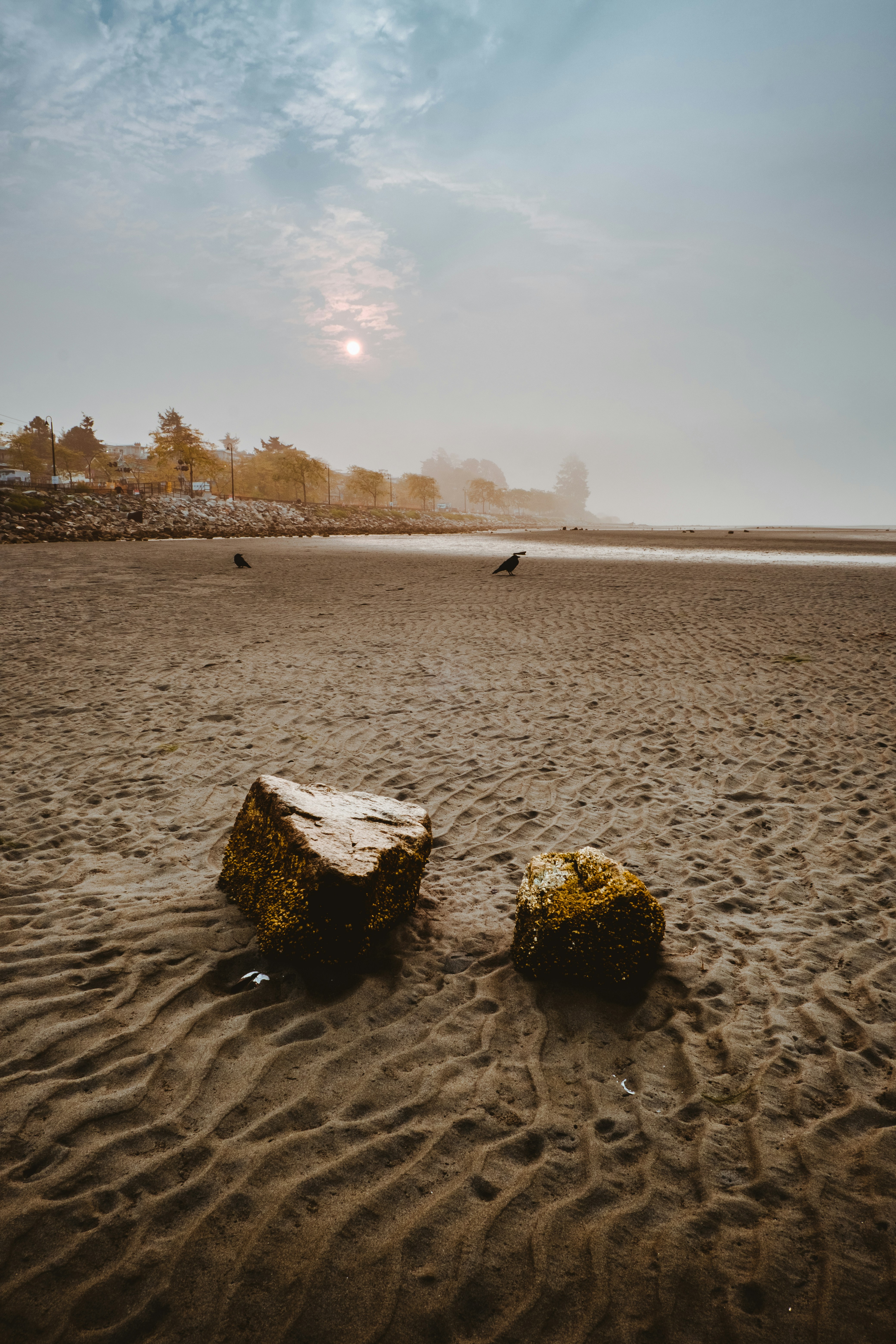 a couple of rocks sitting on top of a sandy beach