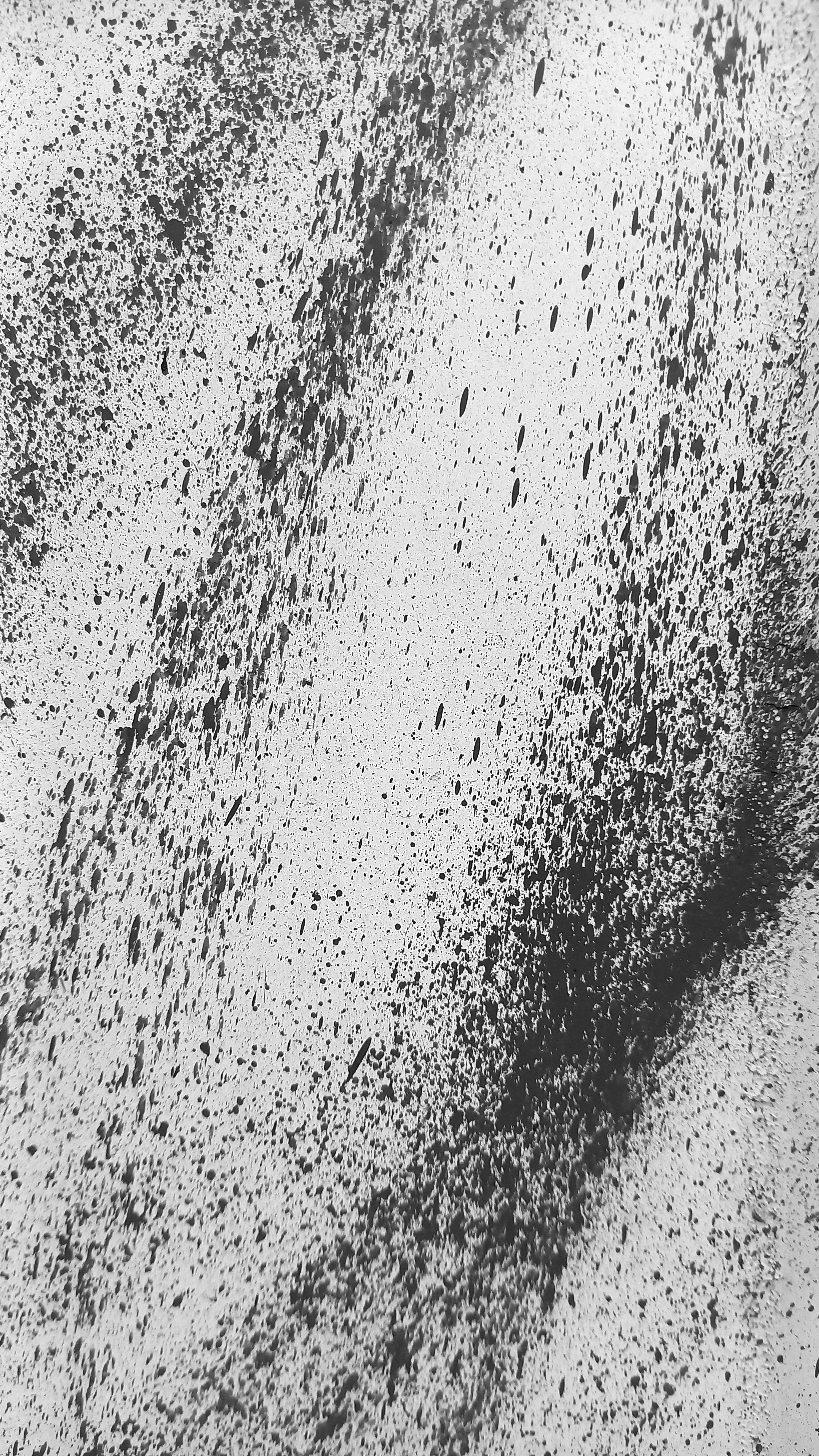 Photo by frankweichelt