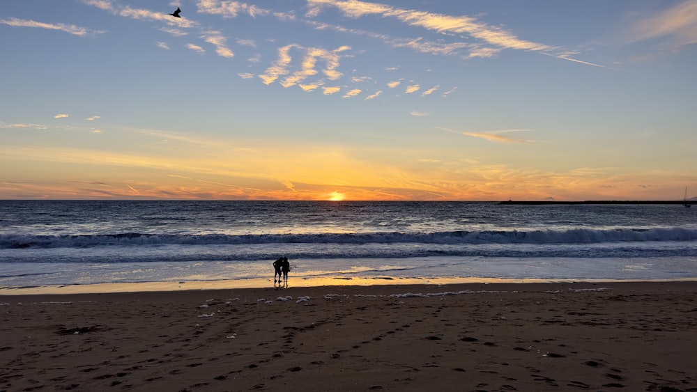 a person standing on a beach watching the sun set