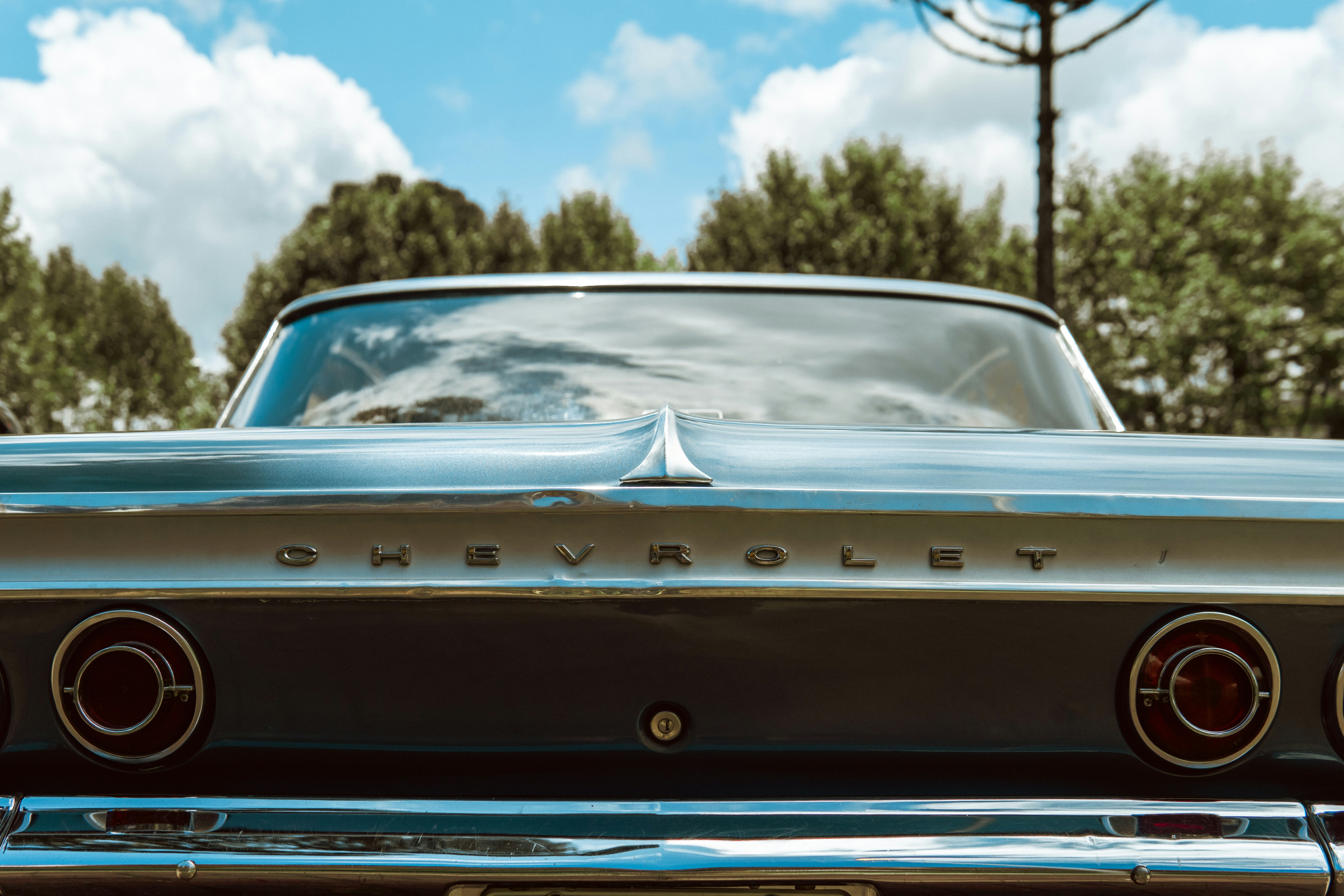 Photo by gustavoliveira