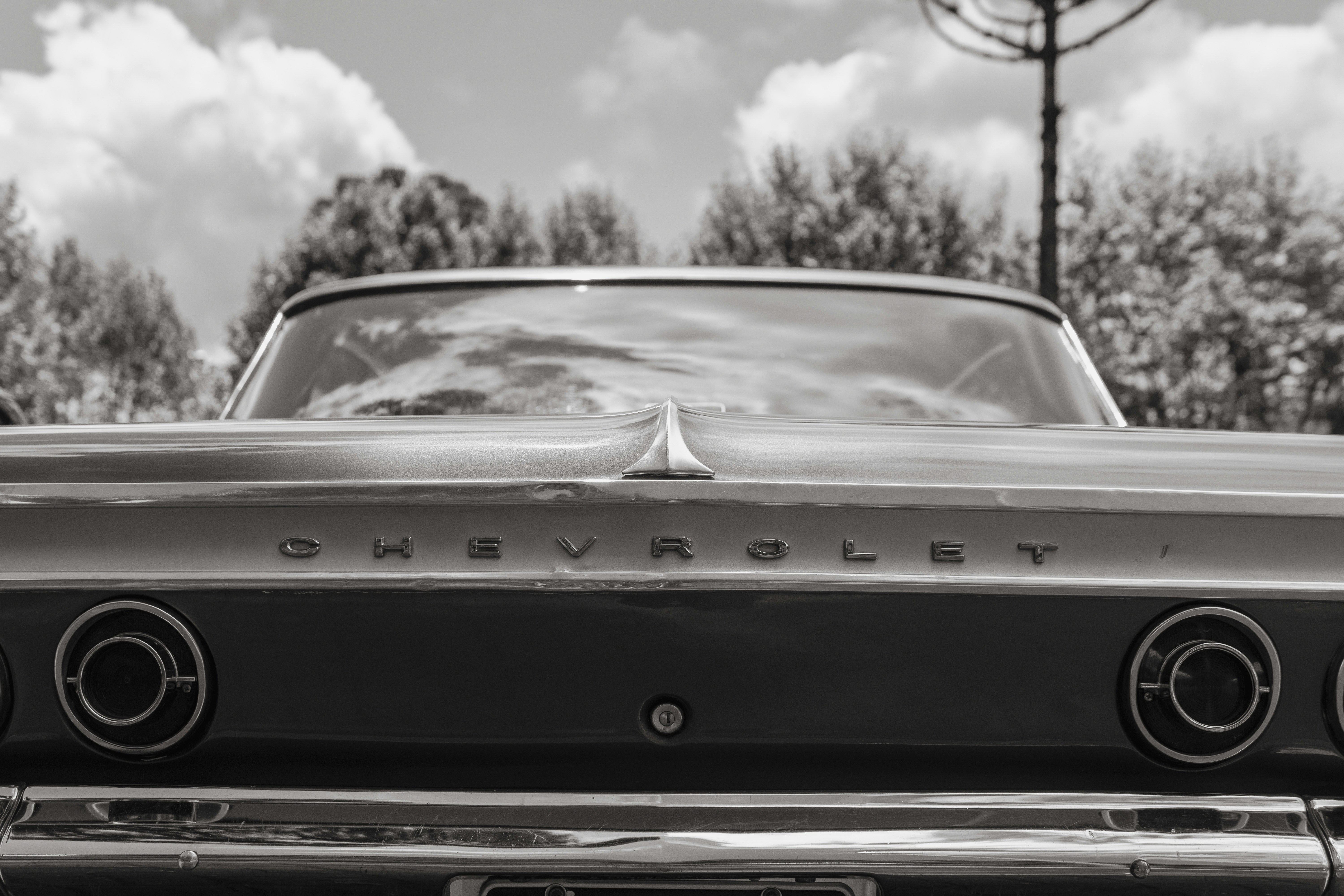 Photo by gustavoliveira