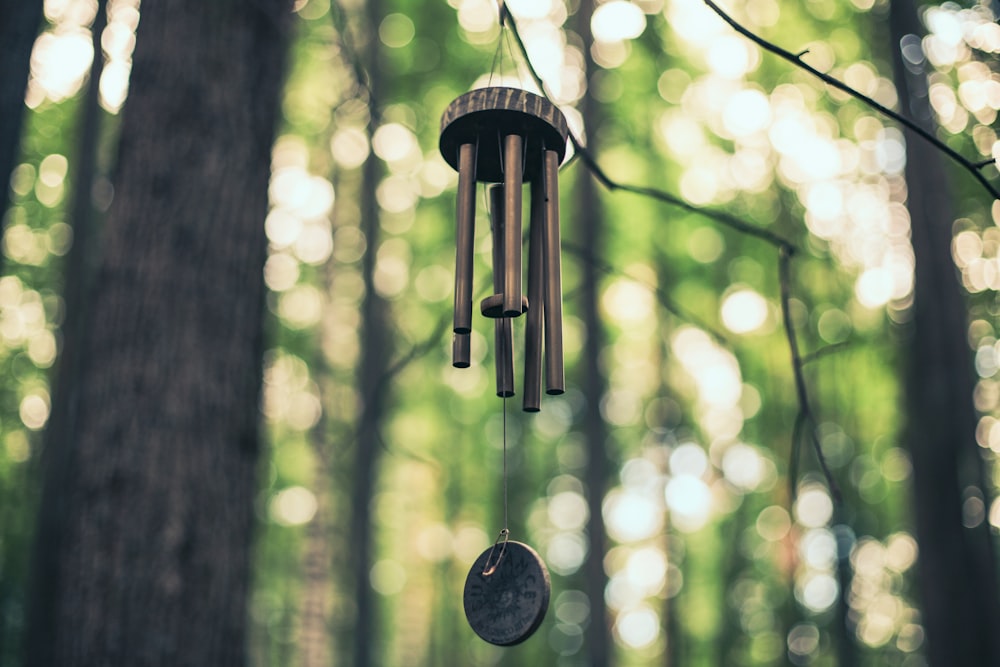 a wind chime hanging from a tree in a forest