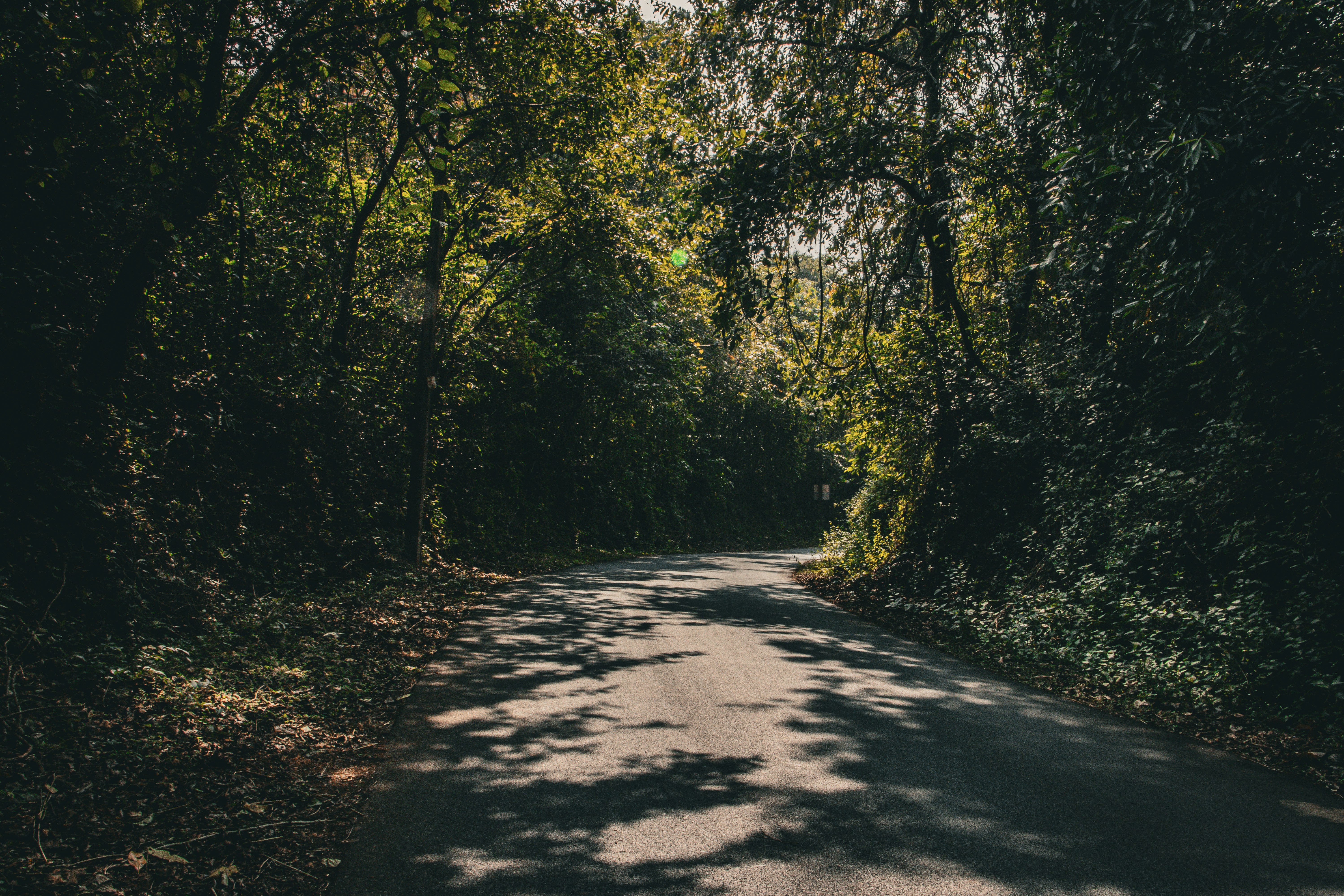 Photo by akshat_jhingran