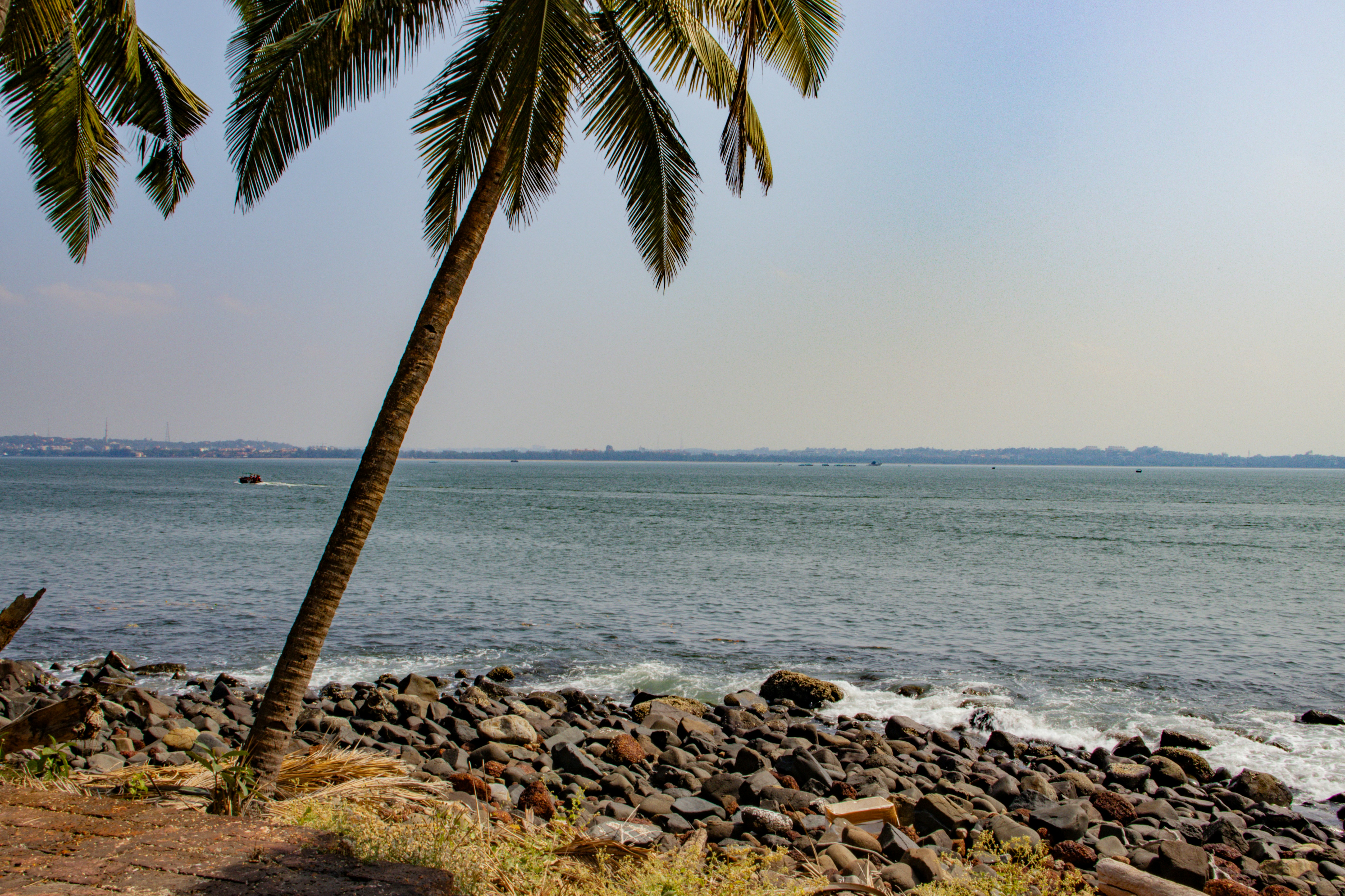 Photo by akshat_jhingran