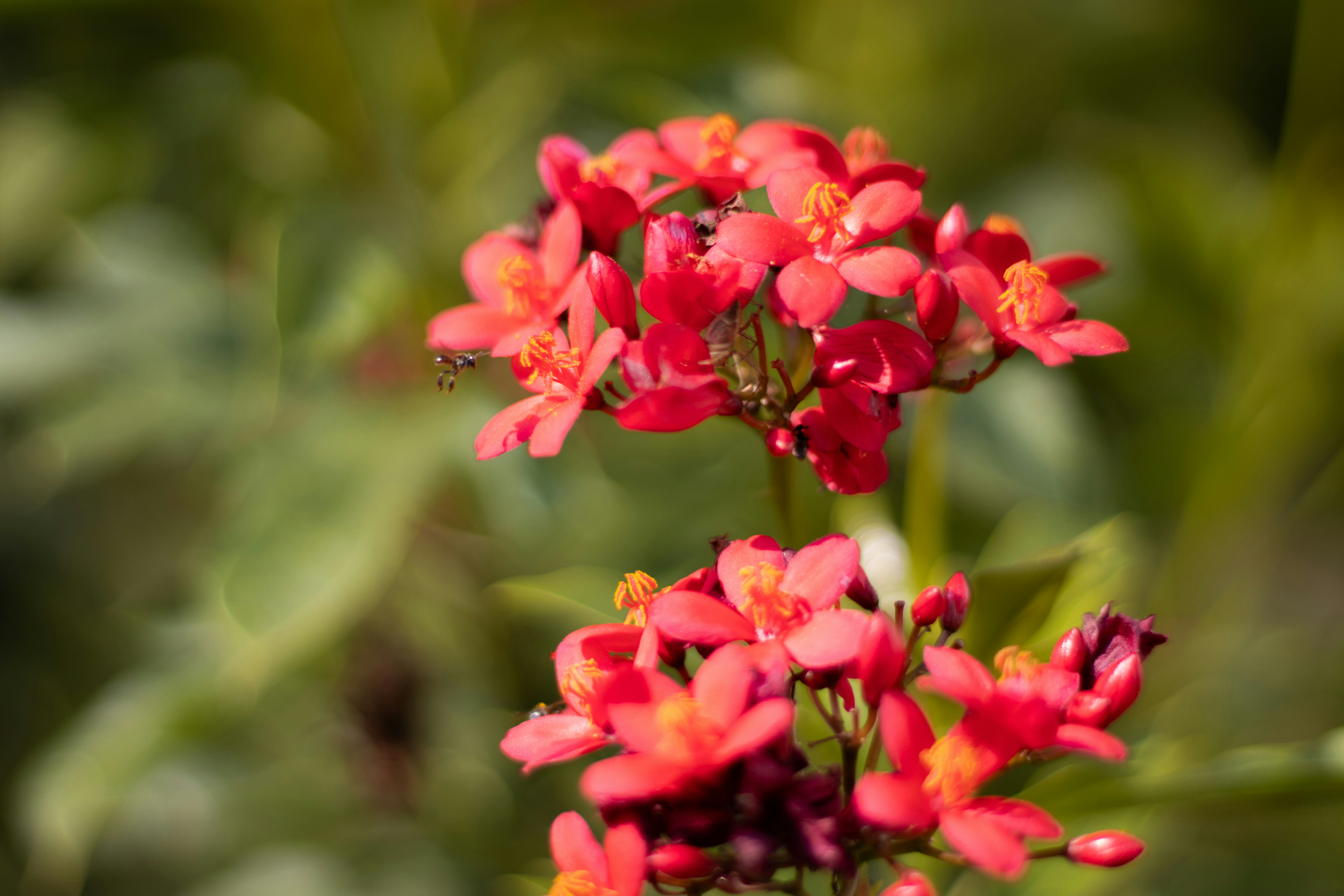 Photo by akshat_jhingran