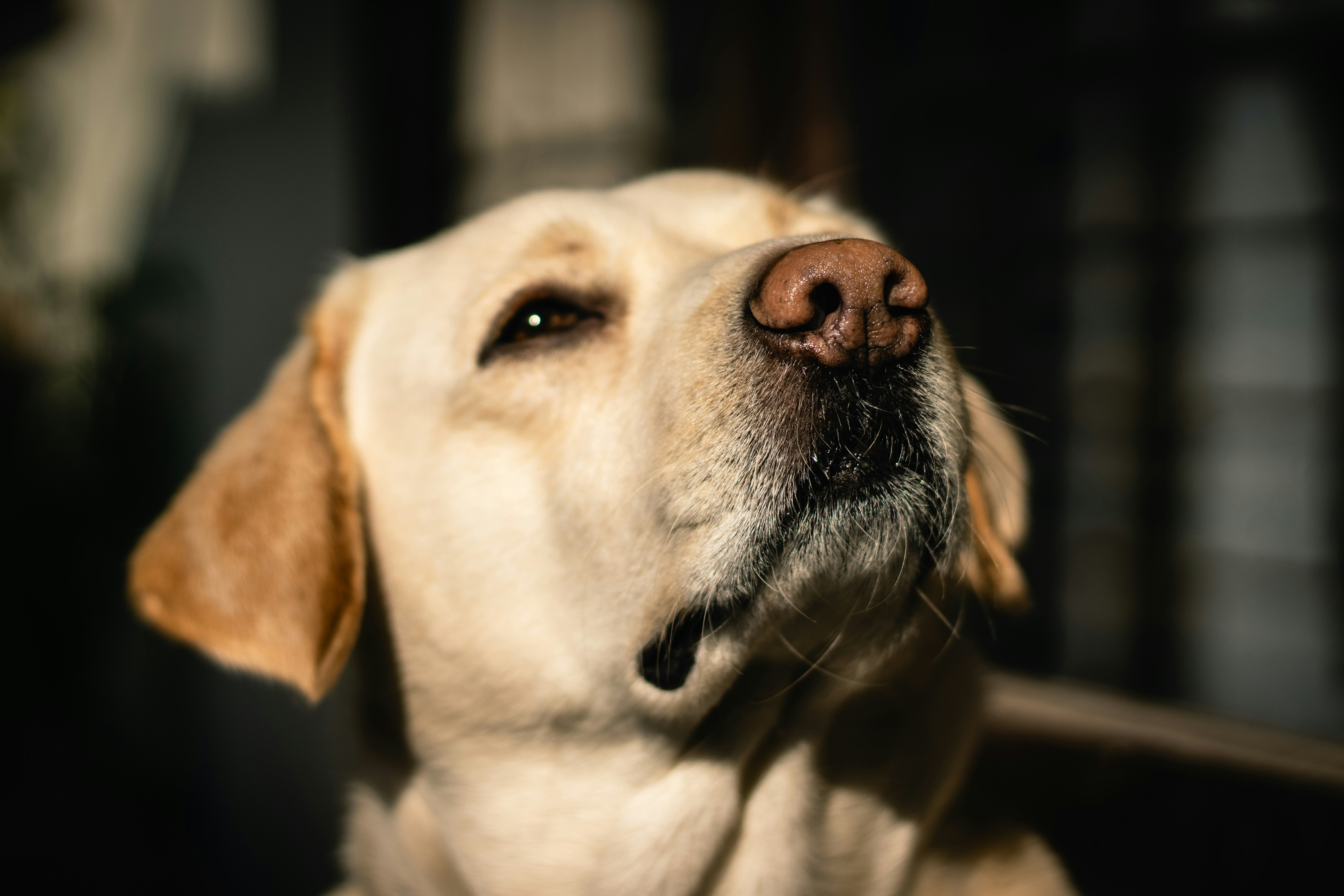 Photo by akshat_jhingran