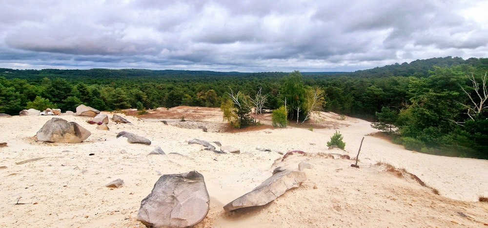 a sandy area with rocks and trees on a cloudy day