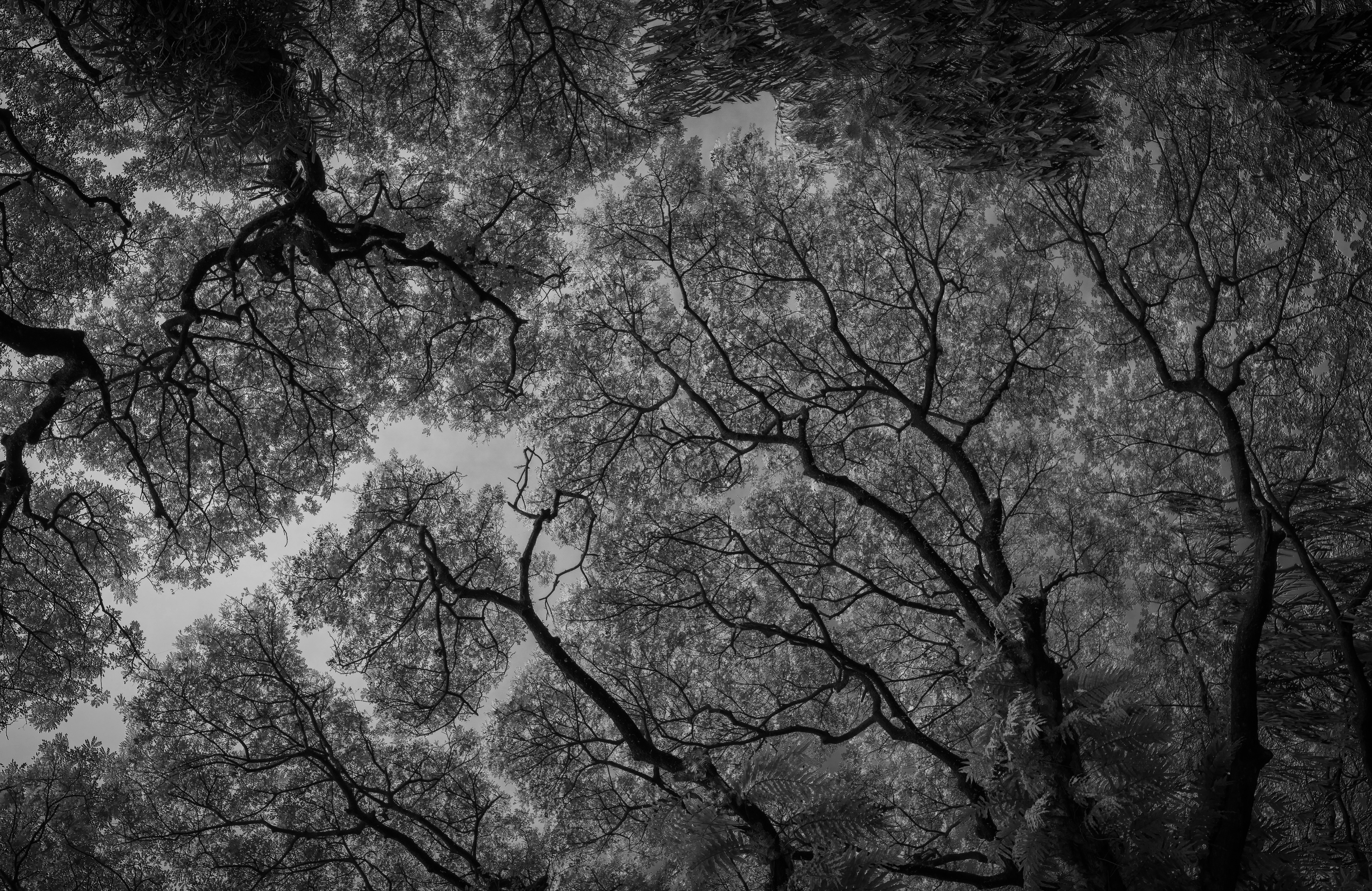 Photo by bartvanmeele