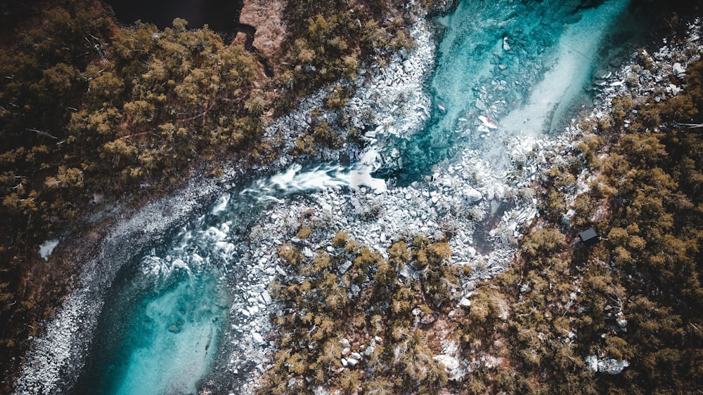 an aerial view of a river surrounded by trees