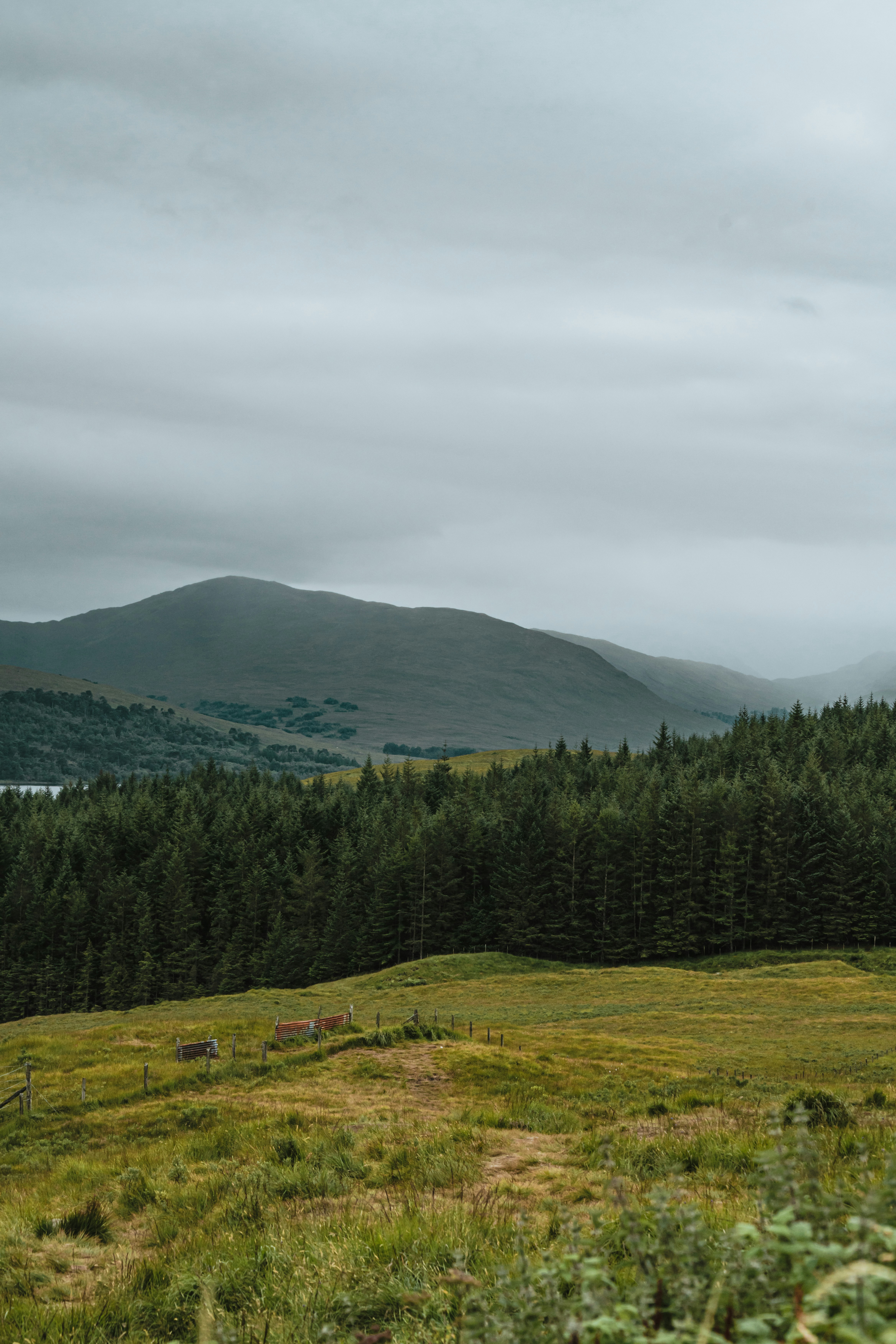 Photo by winstontjia