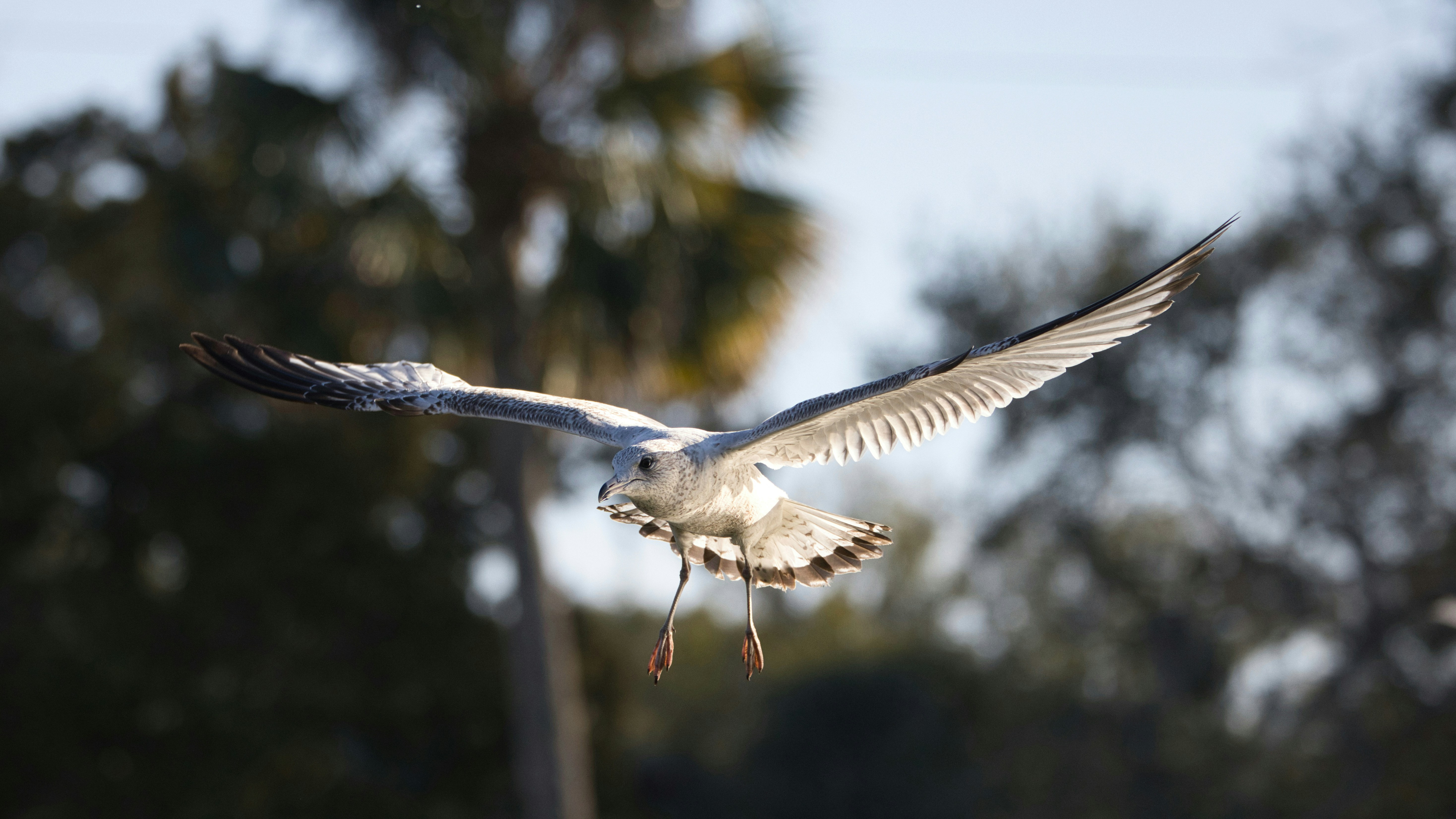 Photo by thephotochad