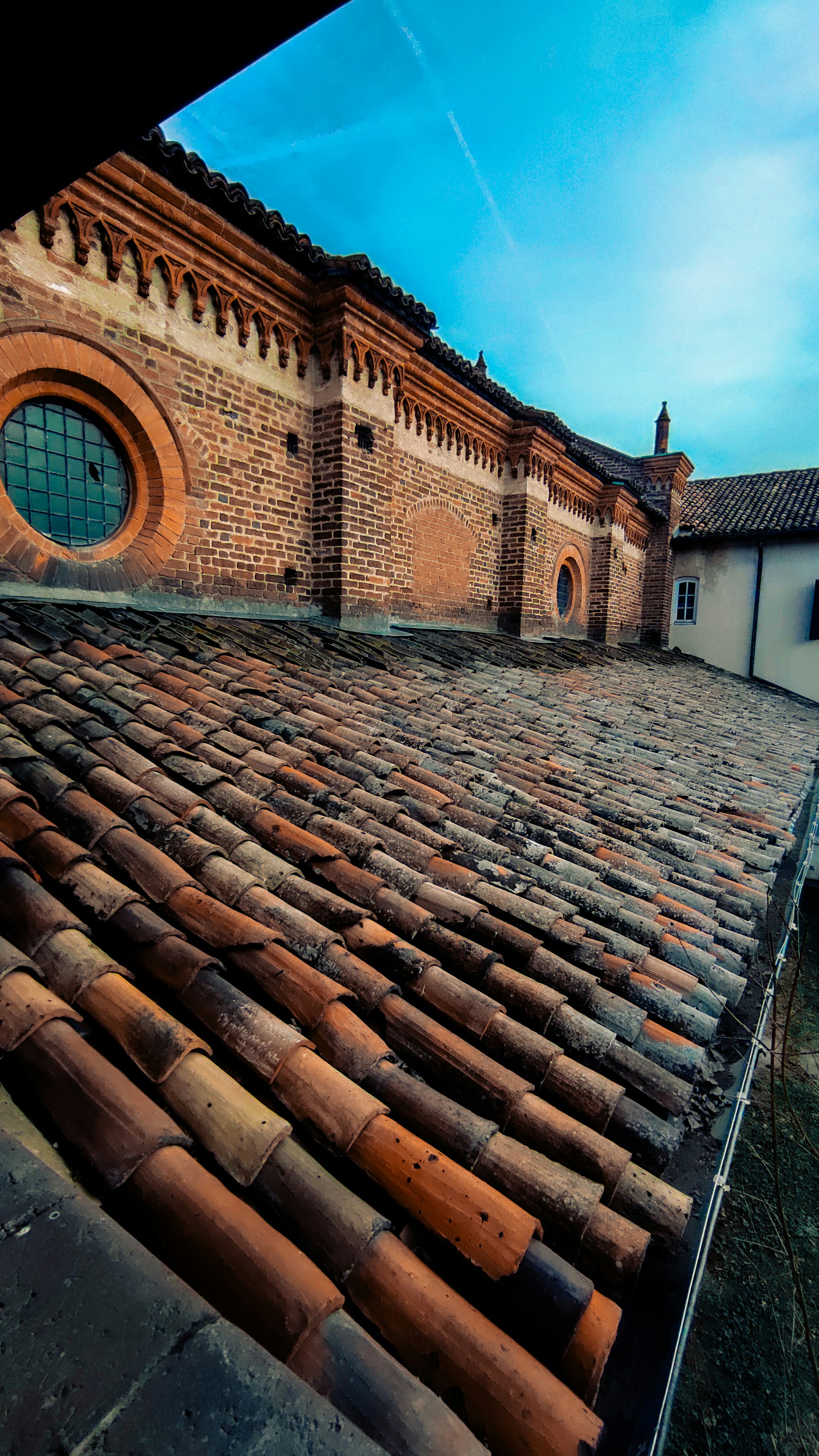 Photo by anamilanofoto