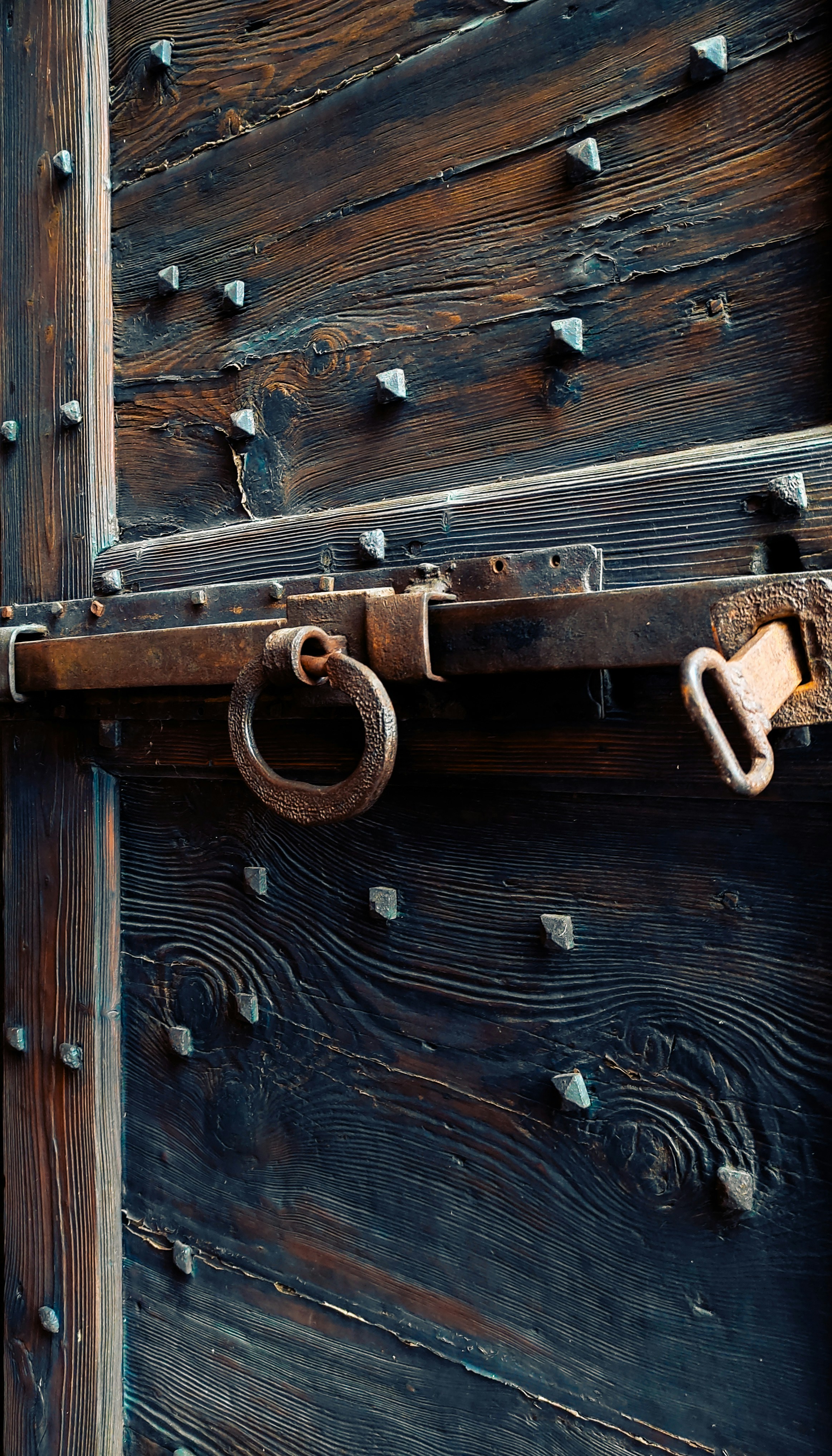 Photo by anamilanofoto