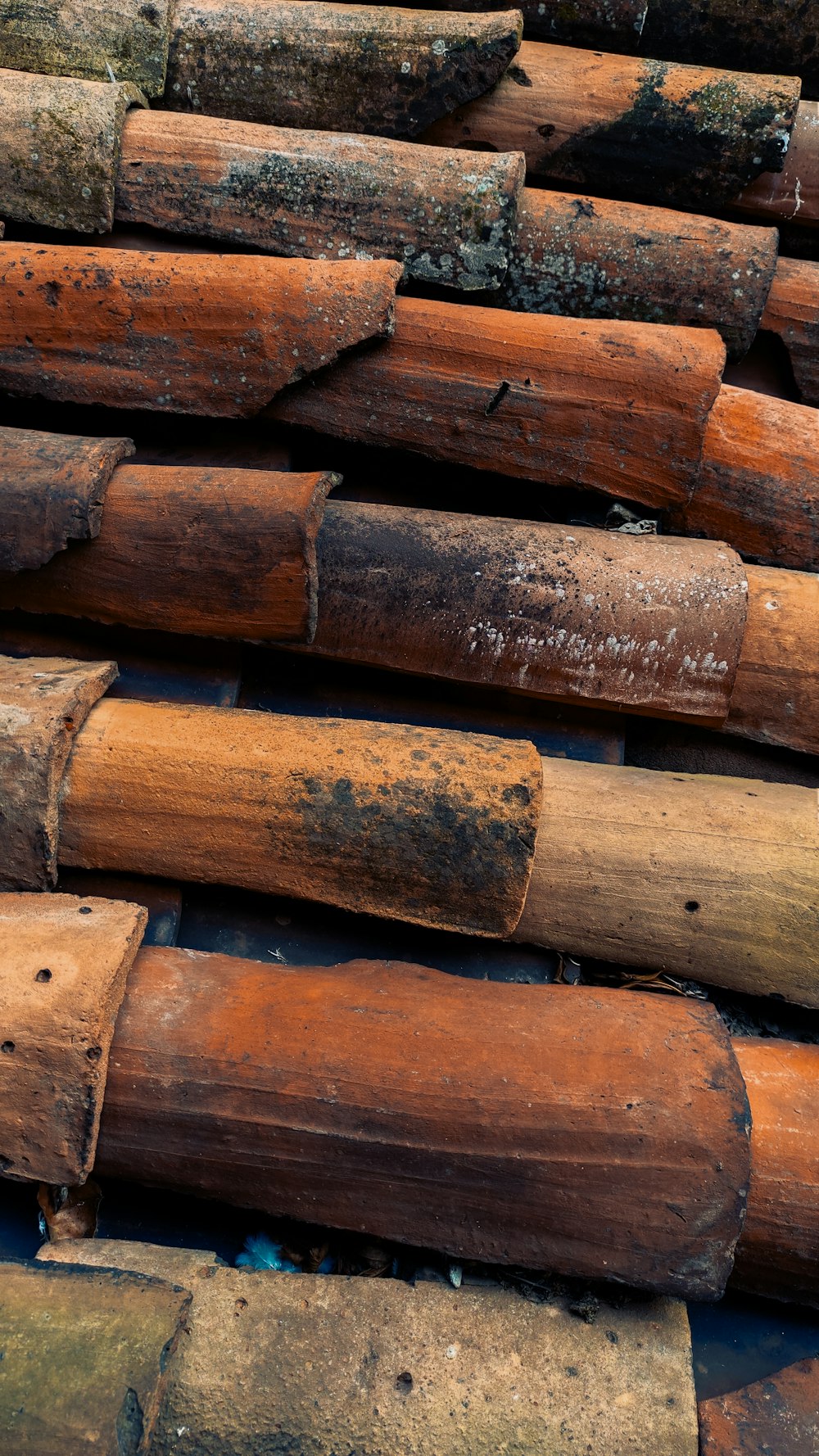 a close up of a pile of logs