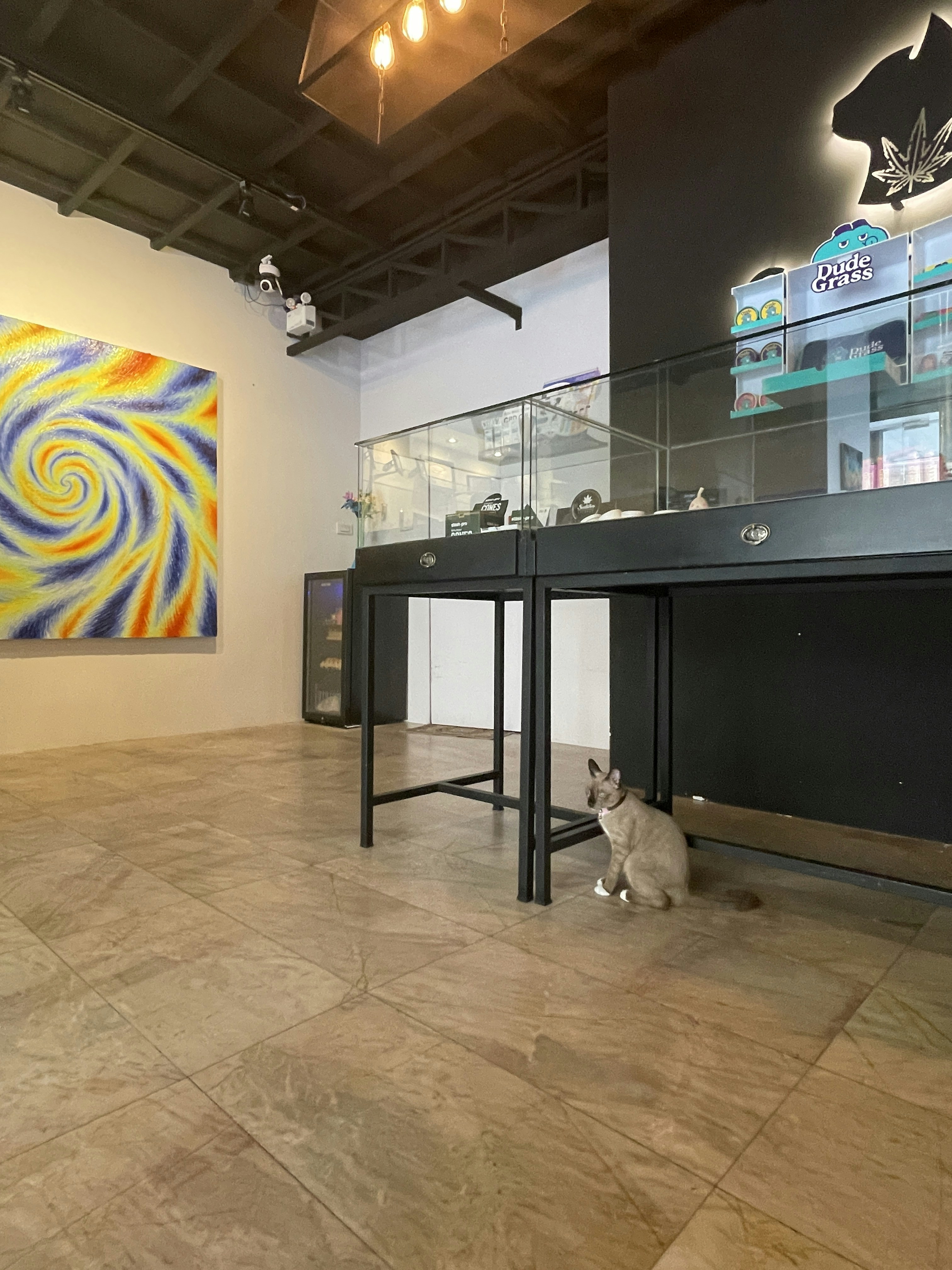 a dog sitting under a table in a room