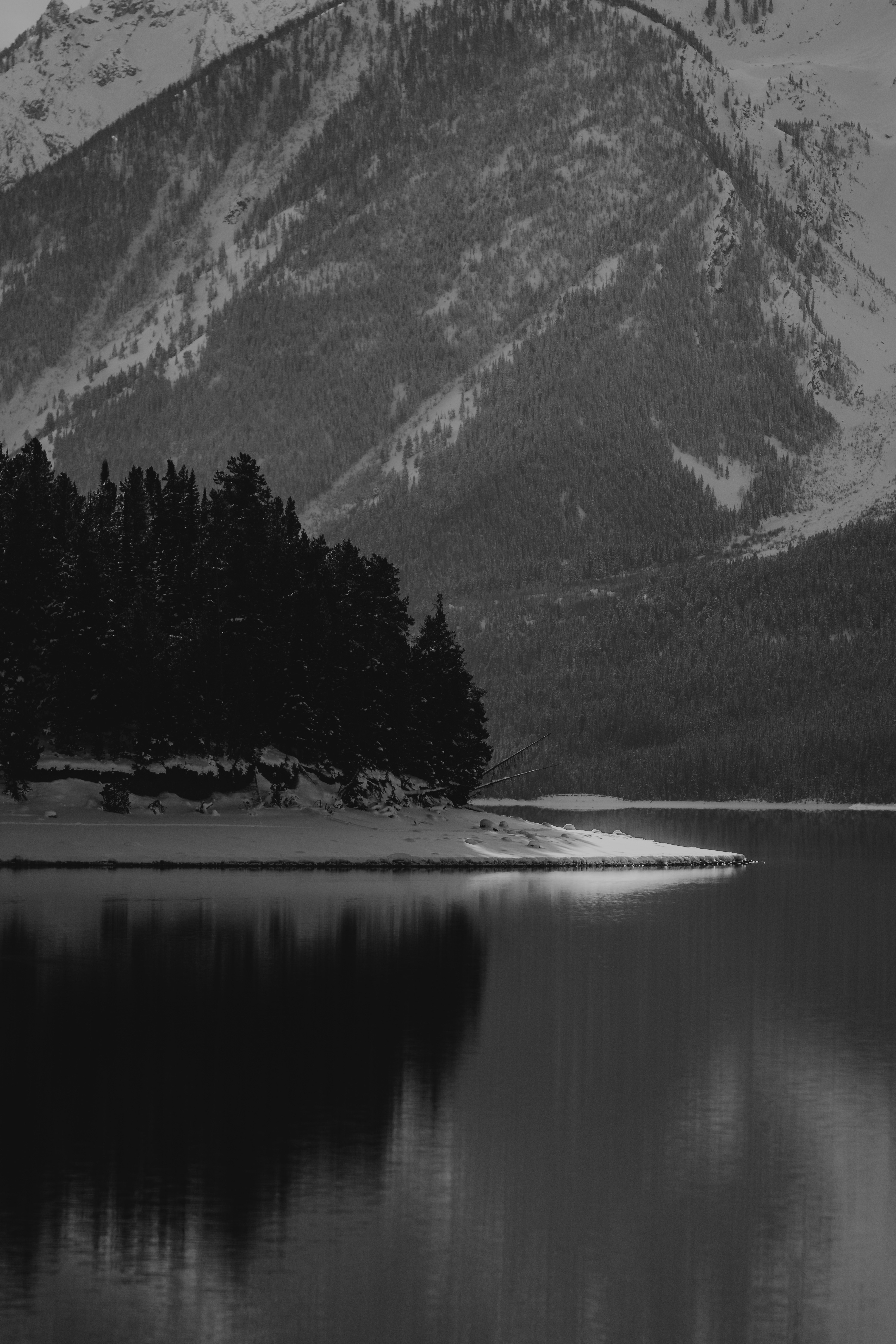 Photo by wonderhuntco