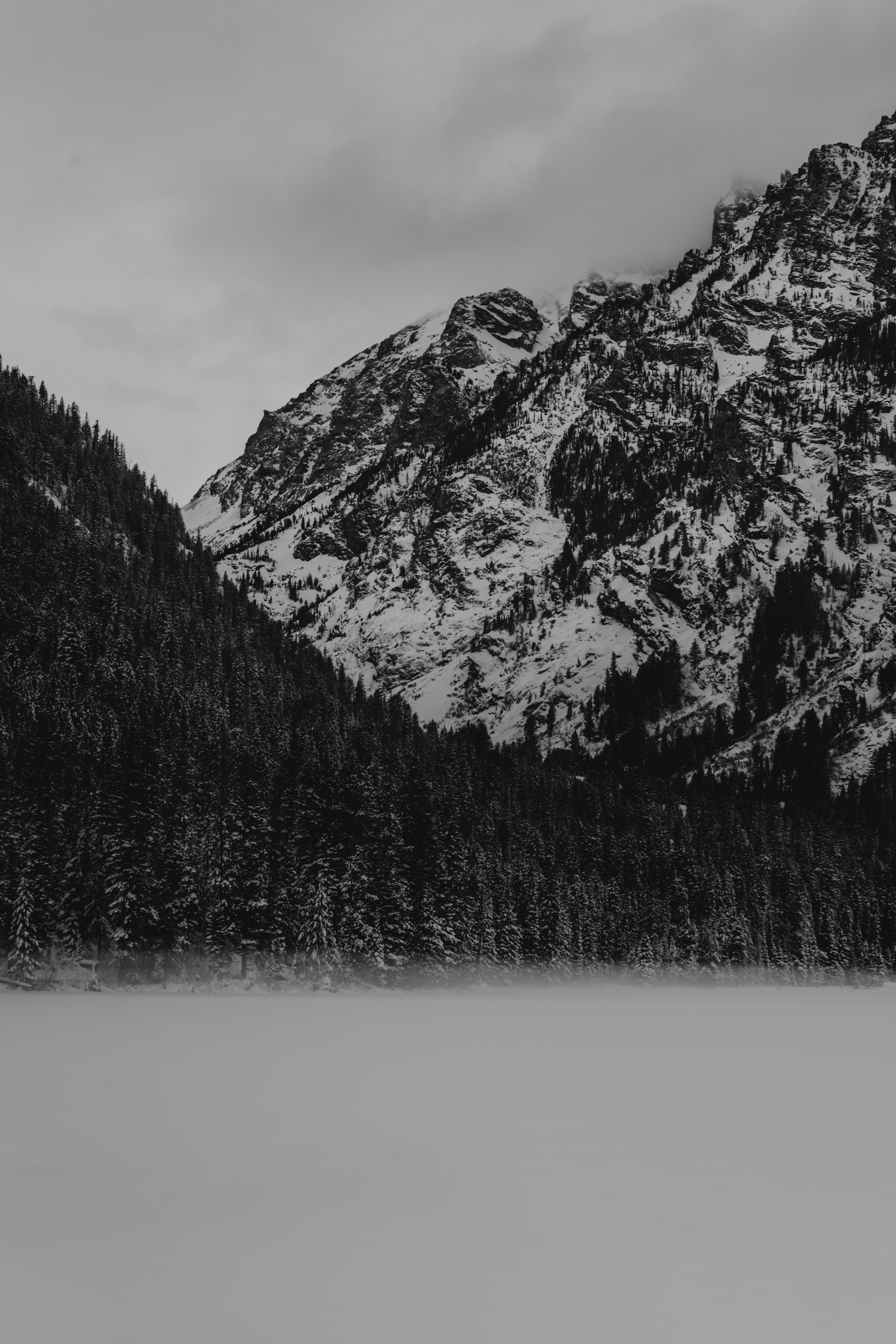 Photo by wonderhuntco