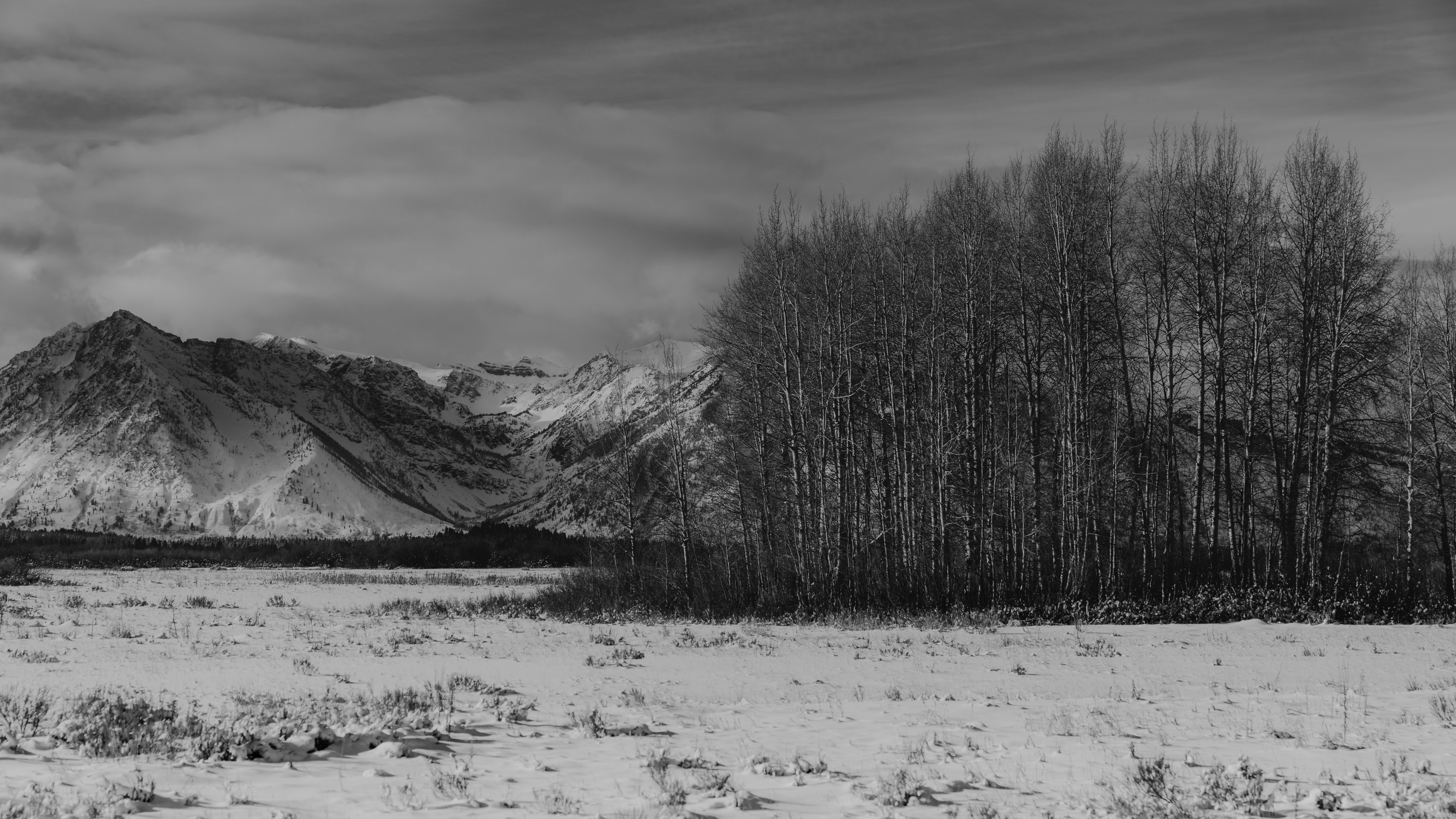 Photo by wonderhuntco