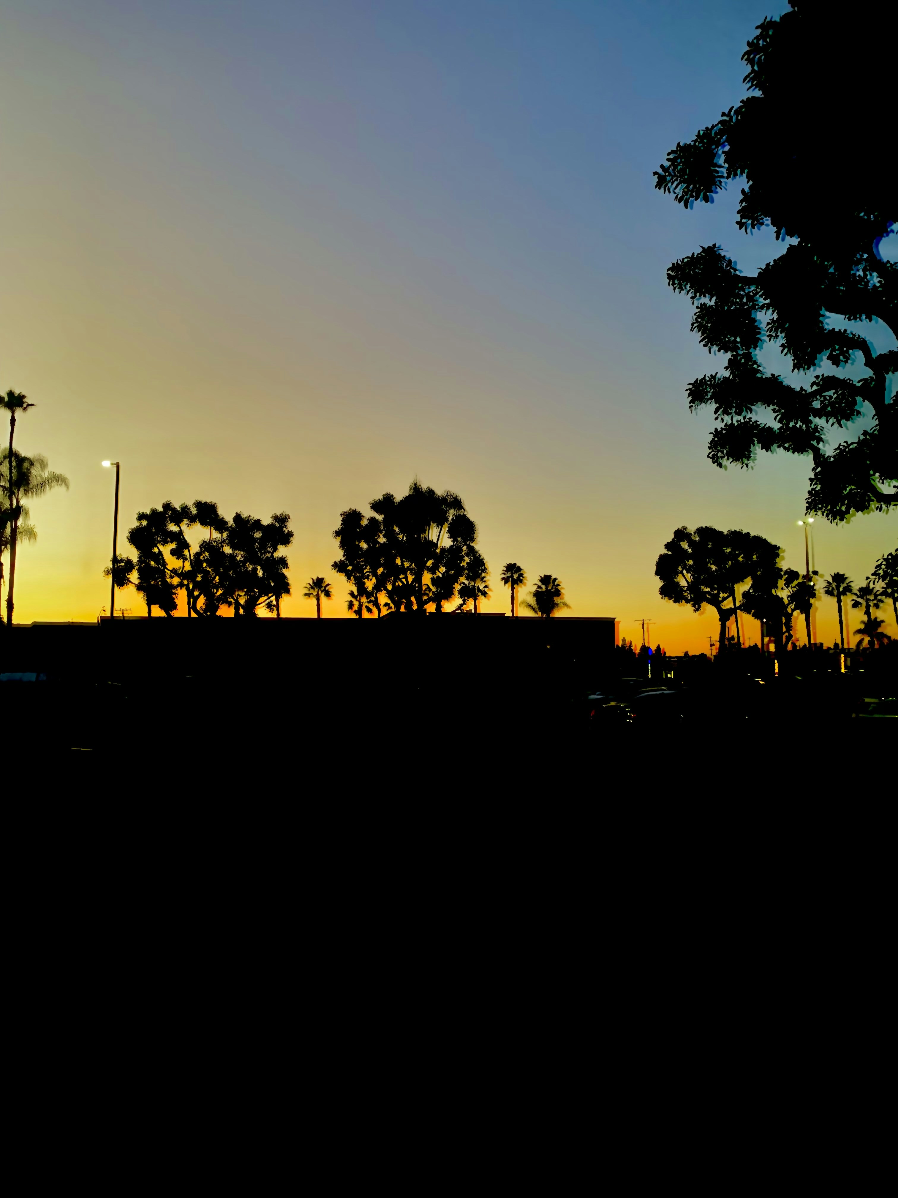 Photo by amahan25