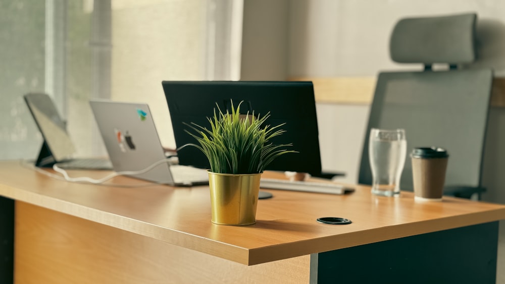 a desk with a laptop and a potted plant on it