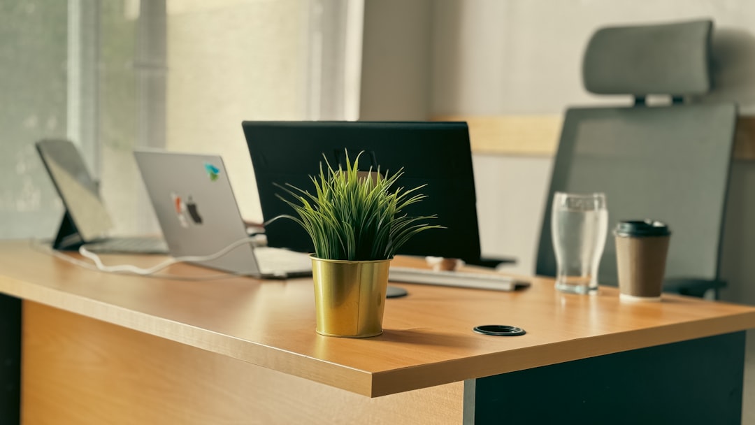a desk with a laptop and a potted plant on it, a cozy office and workspace