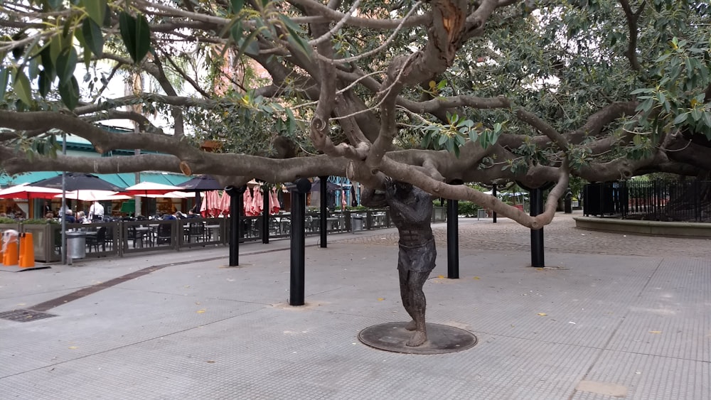 a statue of a man standing under a tree