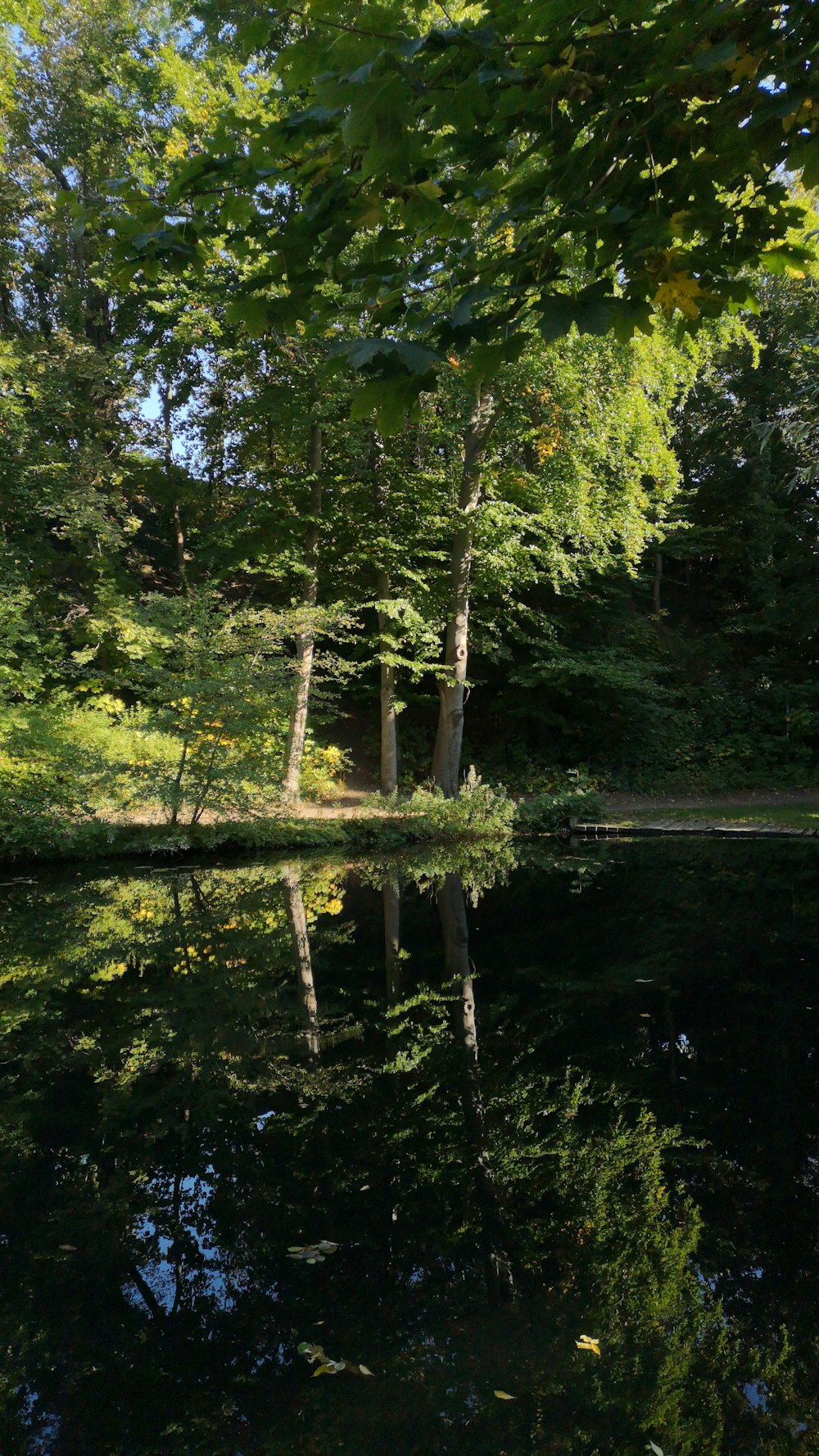 a body of water surrounded by trees and grass