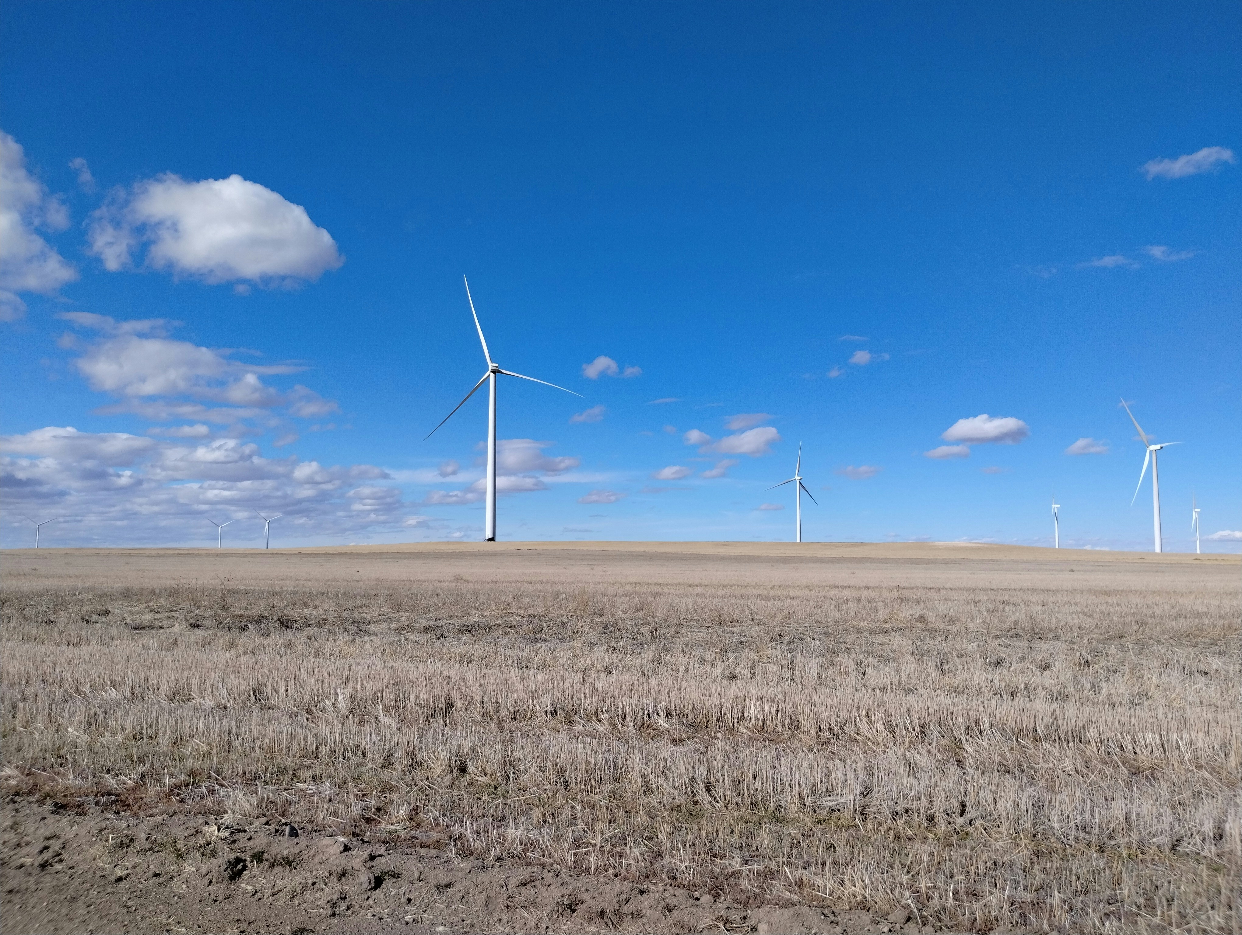 Photo by flameoffire13