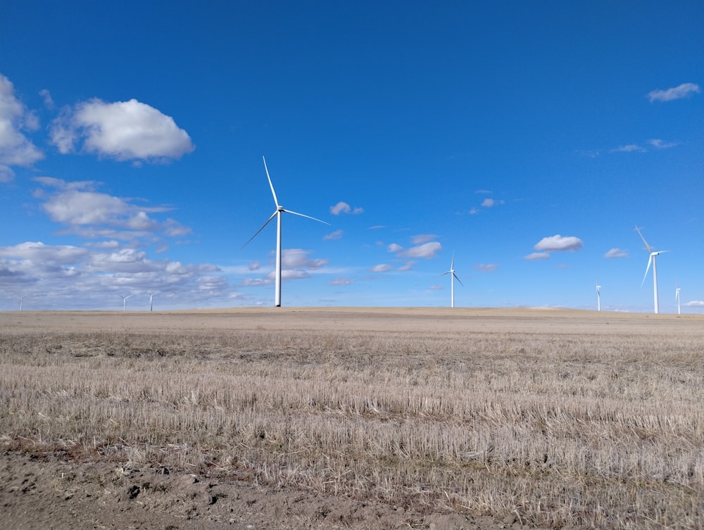 a field with several wind turbines in the distance